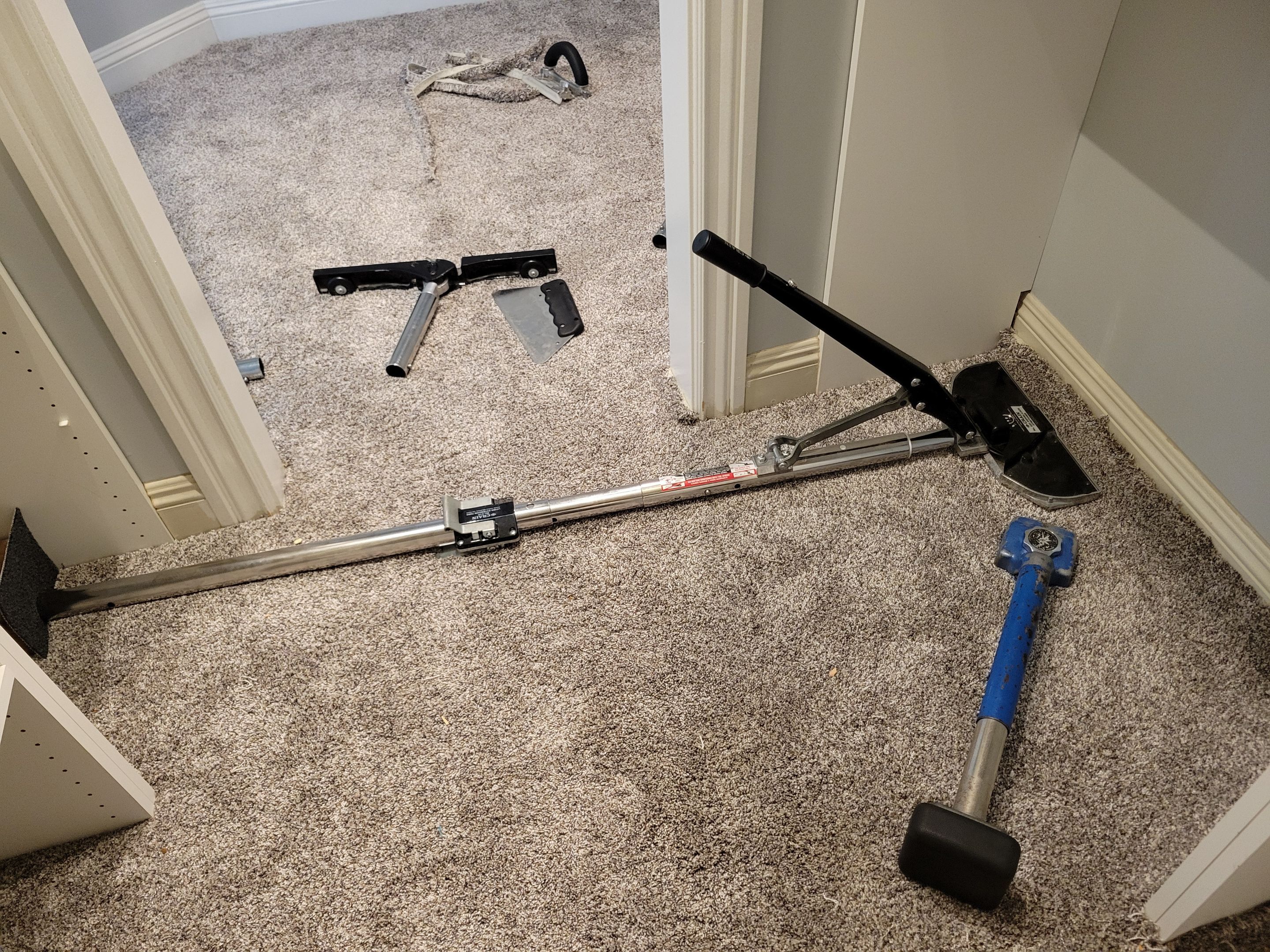 Carpet Re-stretch & Cleaning for House Listing by Ardent Carpet Restore LLC