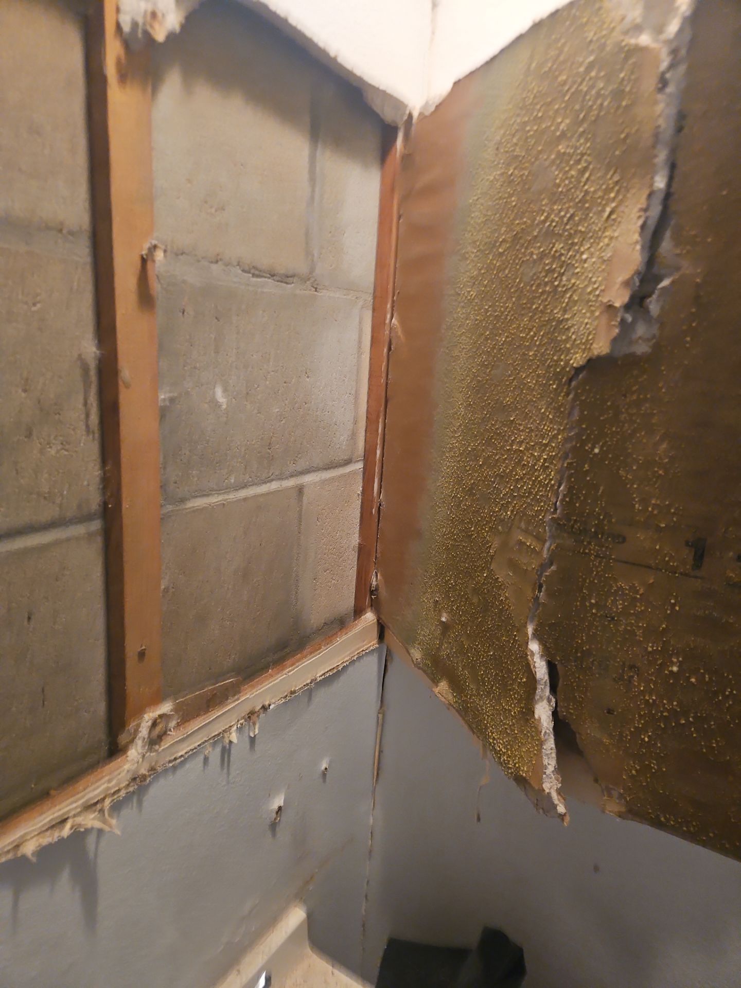 Water Damage Repair & Restoration Treatment by Ampm Restoration Services