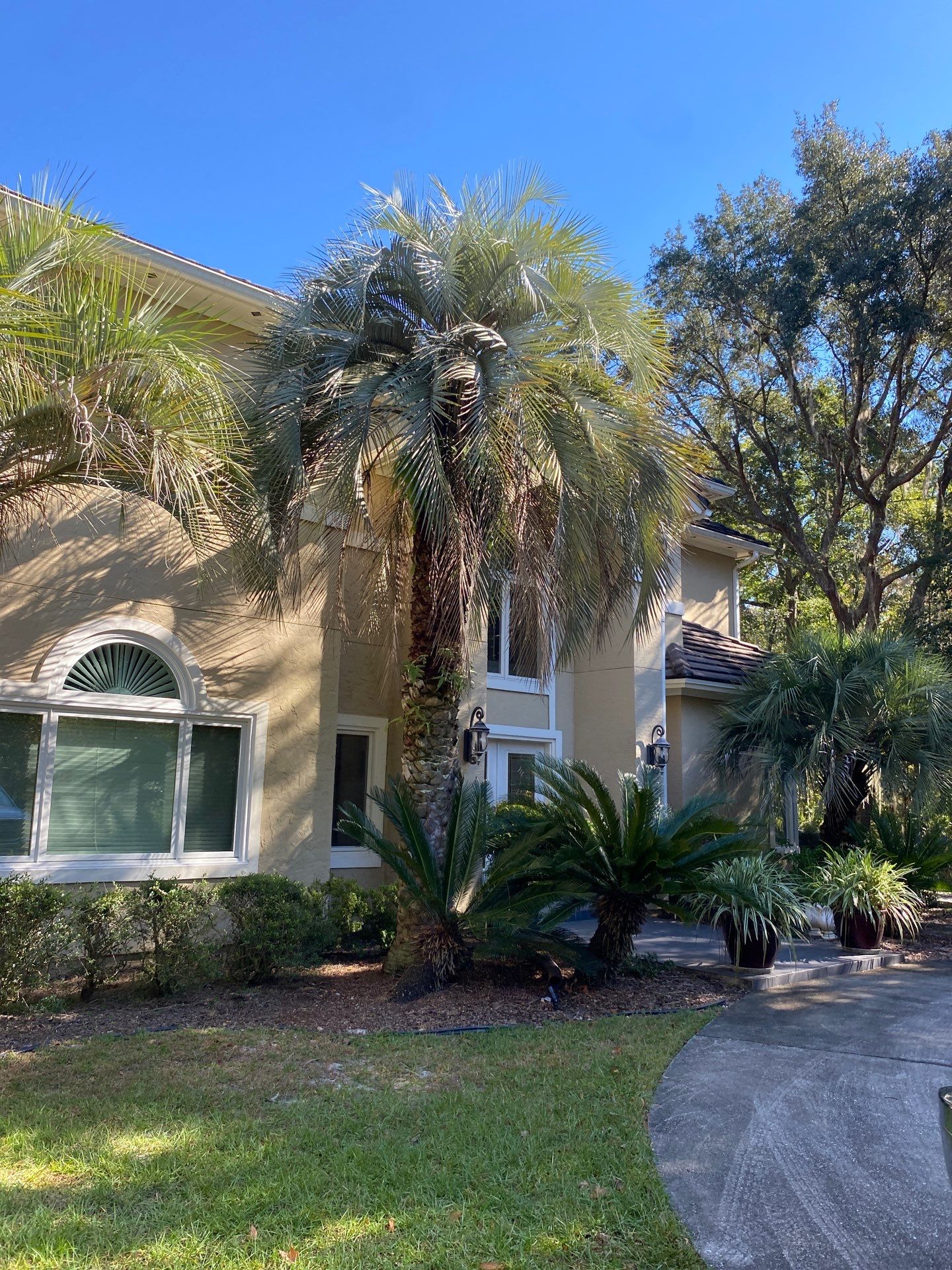 Deerwood Residence | Tree Work by ProGreen Services