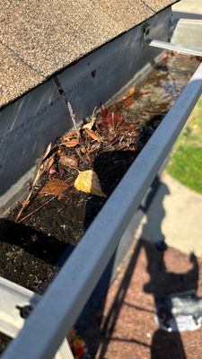 Turtle Shell gutter protection installation in St. Charles, IL 60175, photograph 6