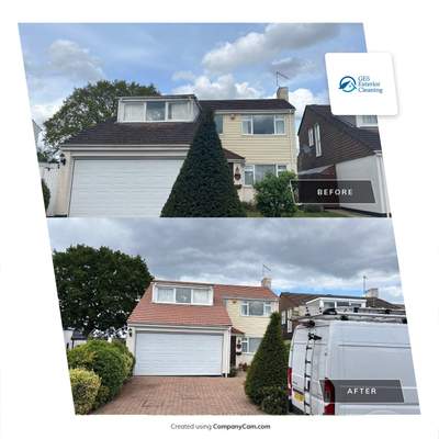 Roof Clean - Biocide Treatment using Honda 15lpm Low Pressure Washing Machine