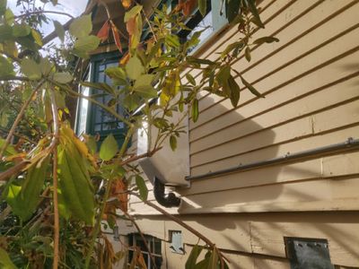Project in Forest Grove