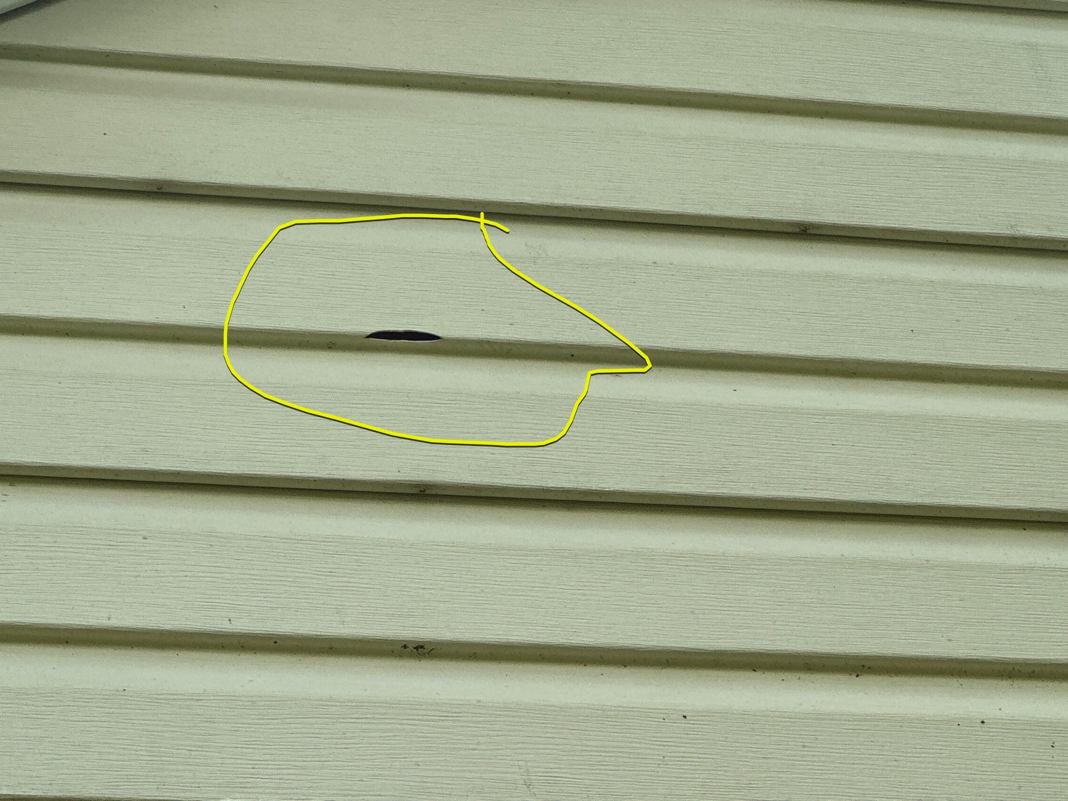 Jonathon Salmons Hail & Tree Damage Report by Constructive Project Management