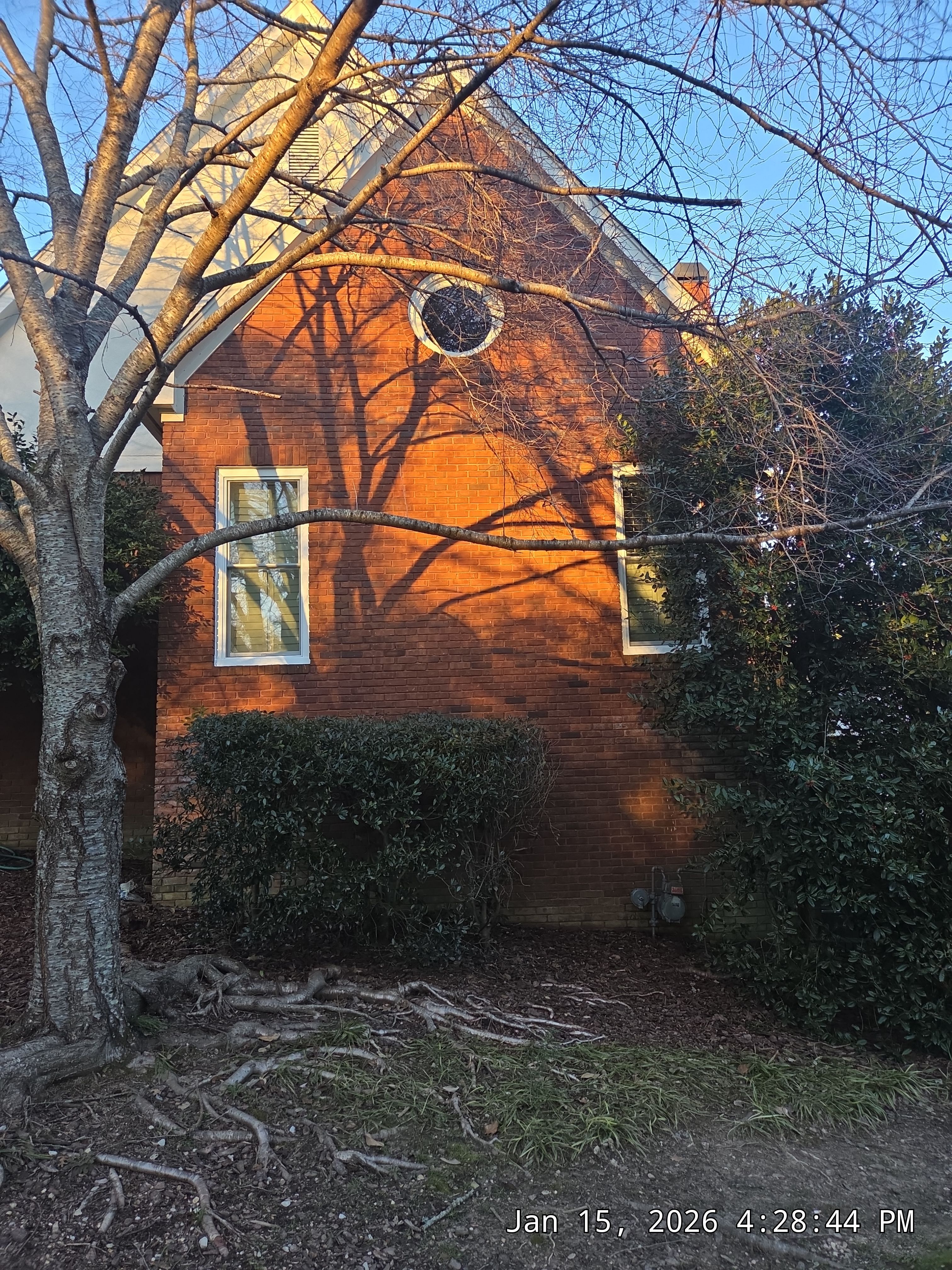 Miller Project in Vestavia Hills by The Window Source