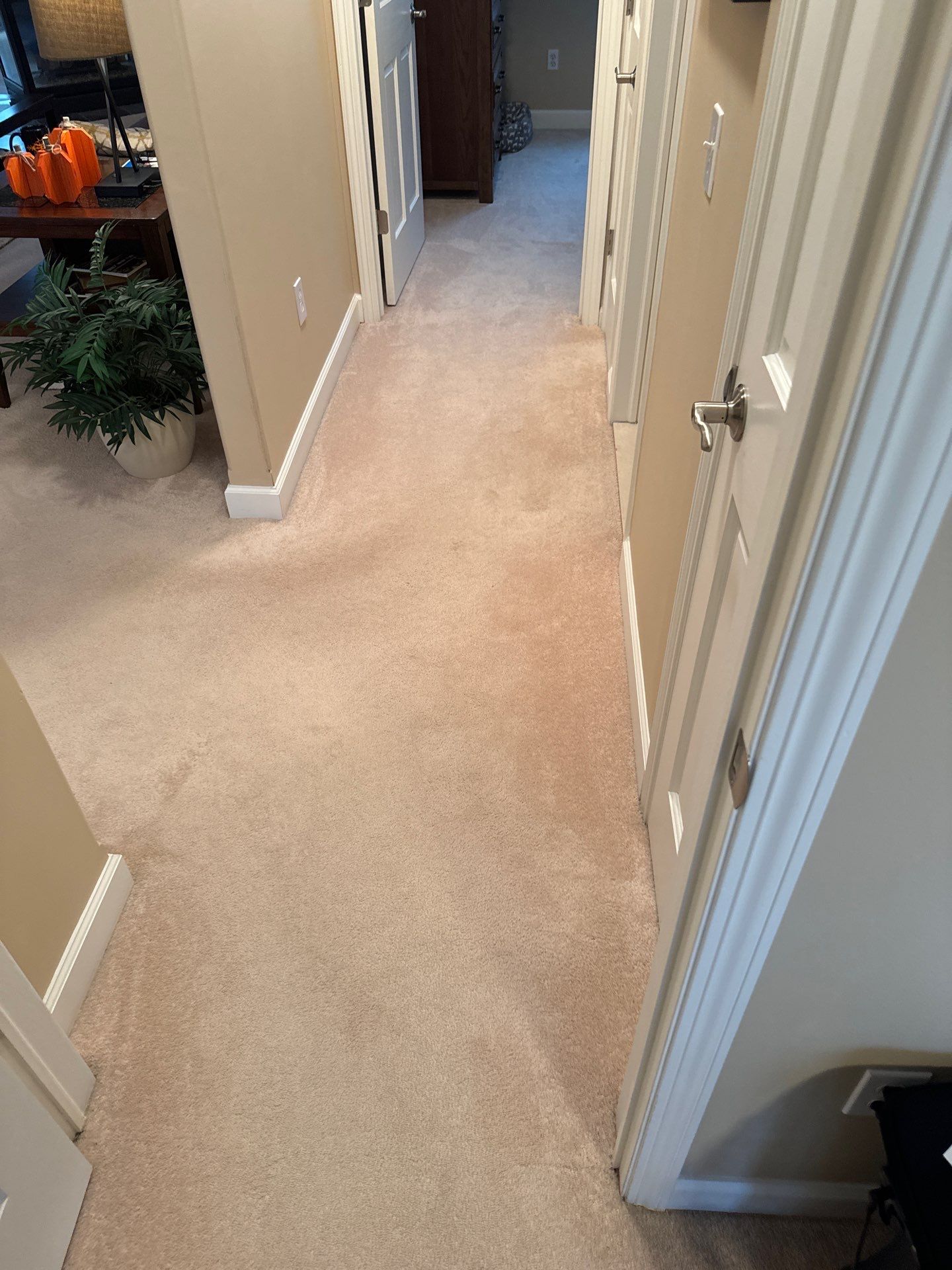 New Red Oak Natural bedroom and hall  by Ann Arbor Hardwoods 