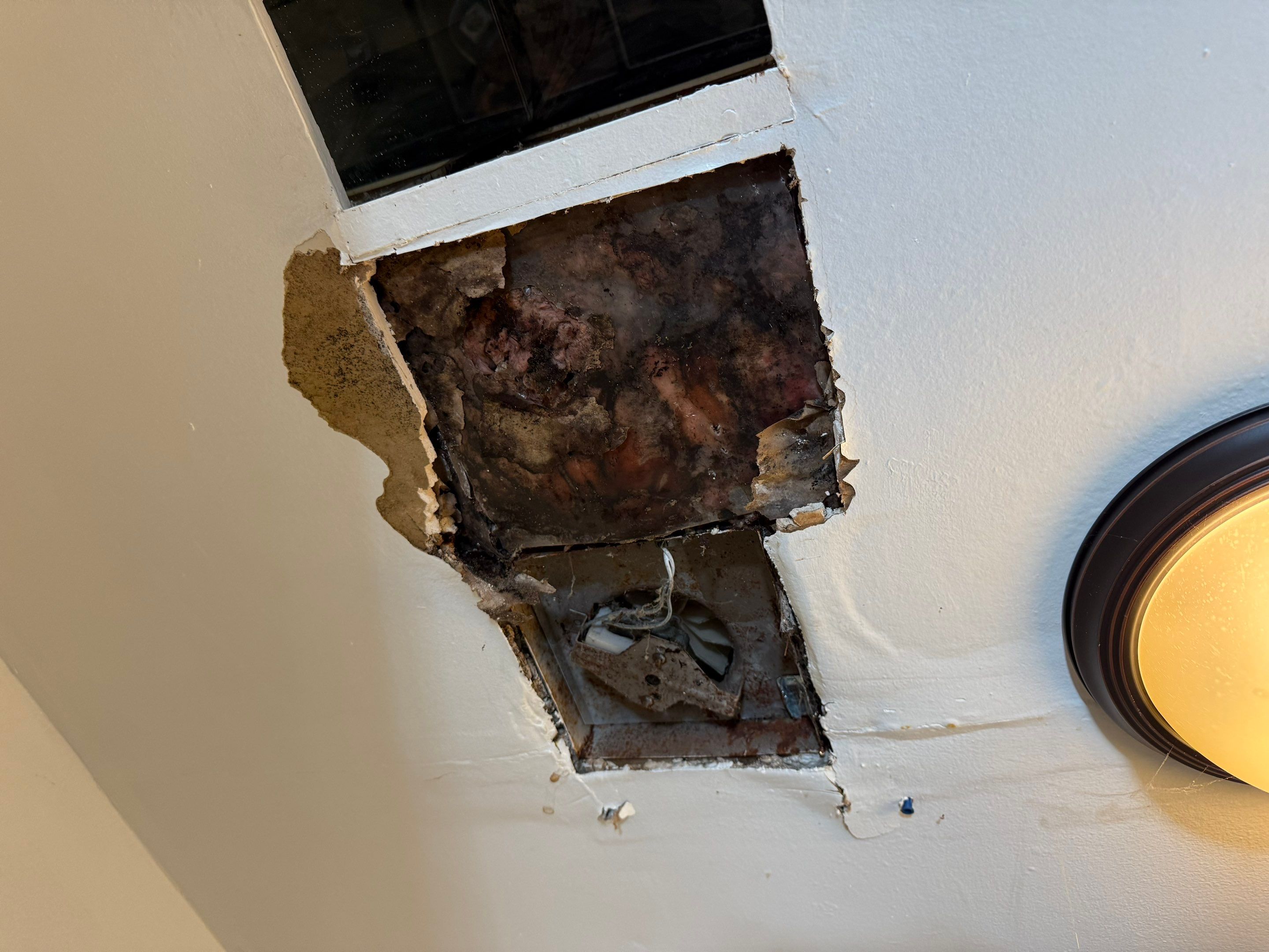 Emergency Leak Repair in Waldport by Prodigy Roof Solutions