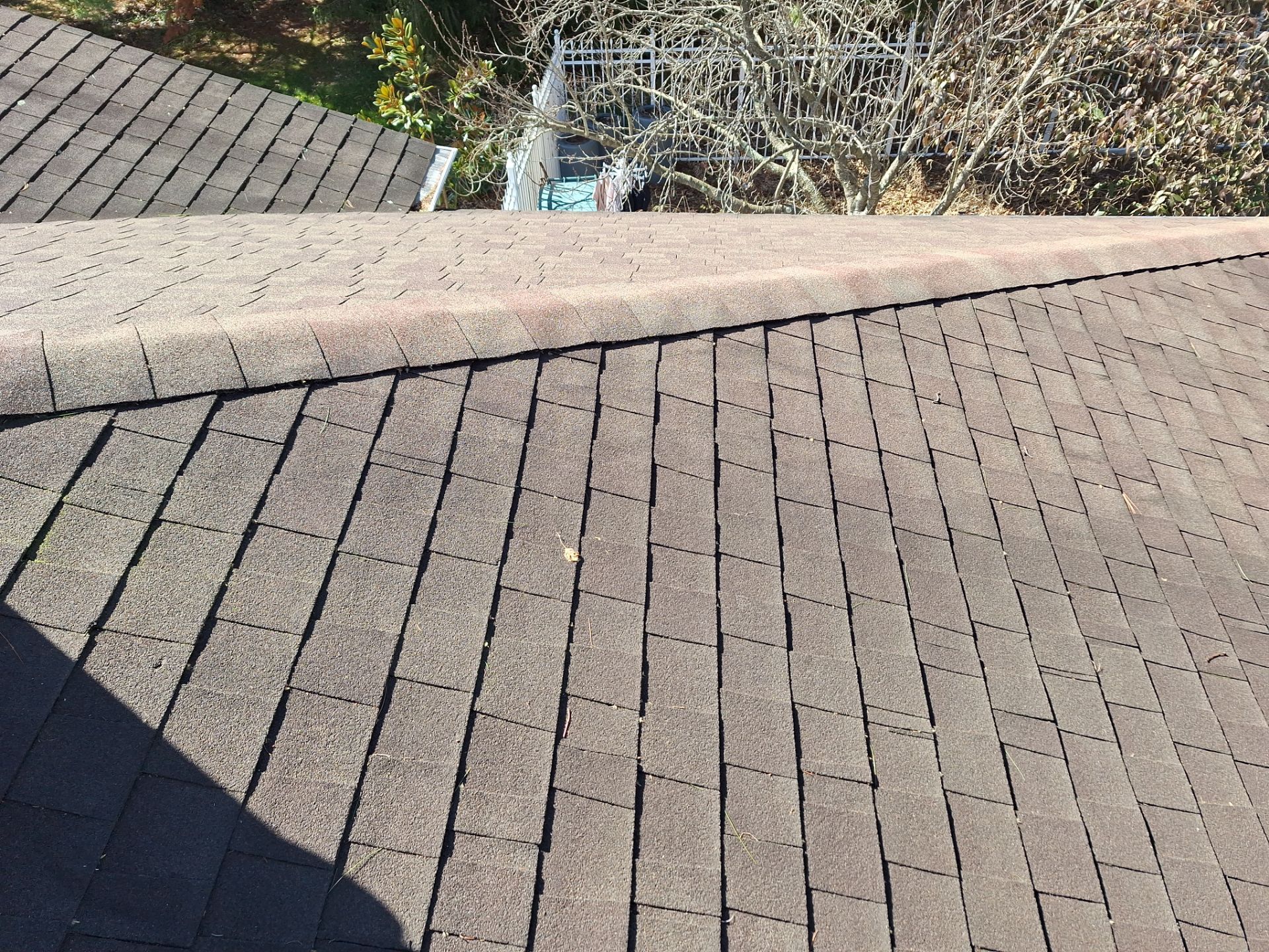 Shakewood Shingles by Reimagine Roofing