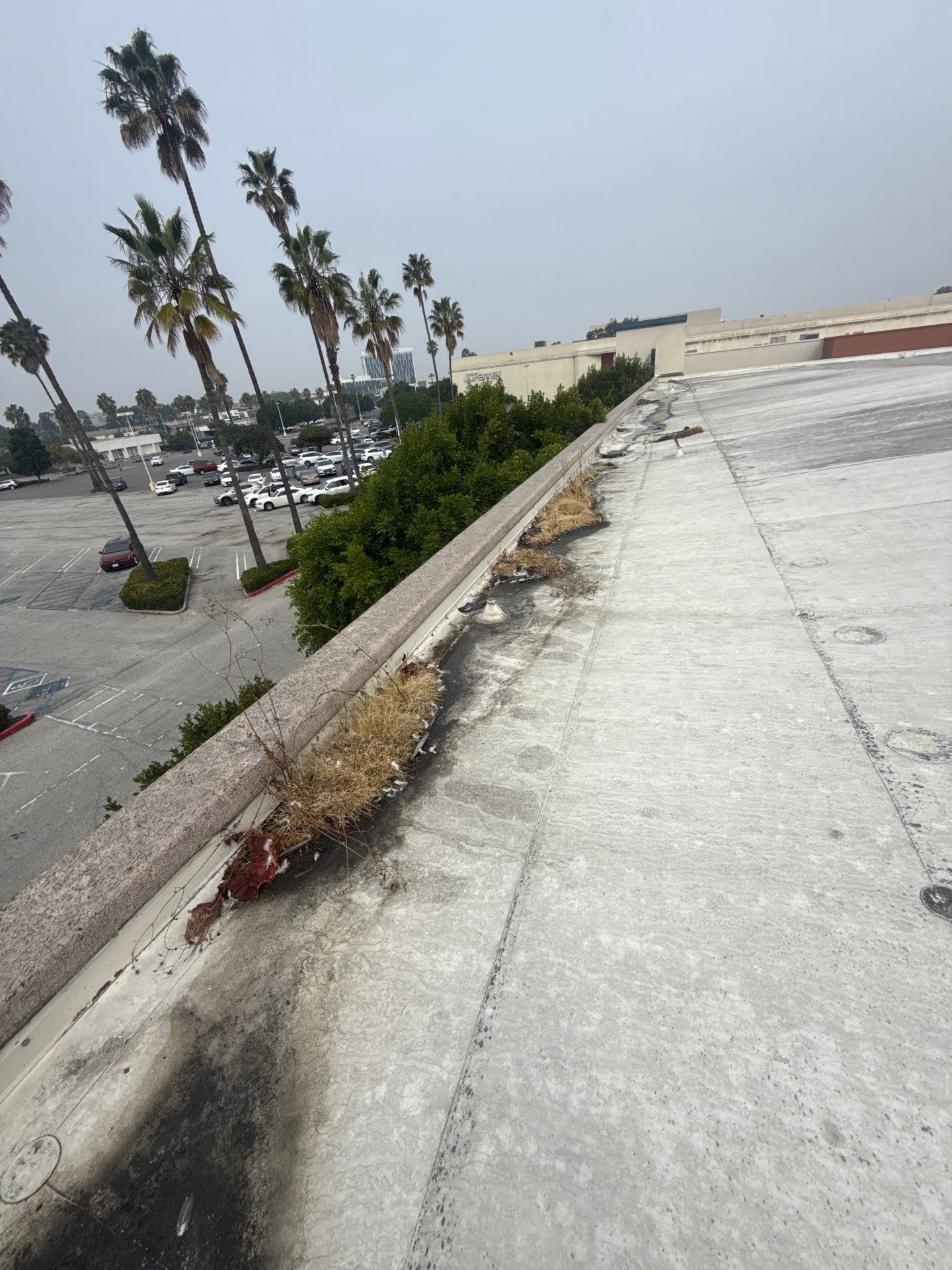 Project in Torrance, California by Sanchez Single Ply Roofing