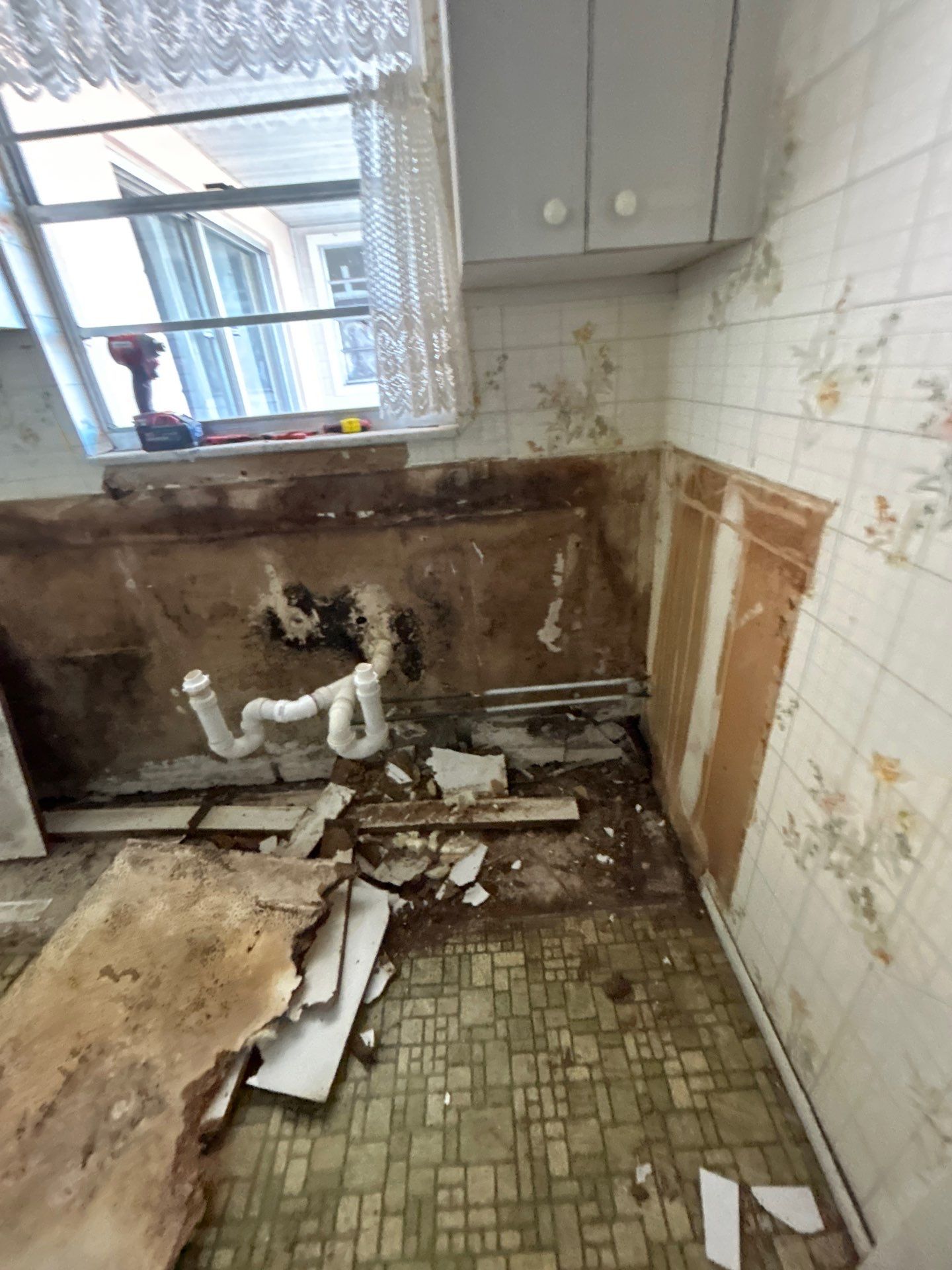 Mold Removal In Bradenton FL  by Ampm Restoration Services 
