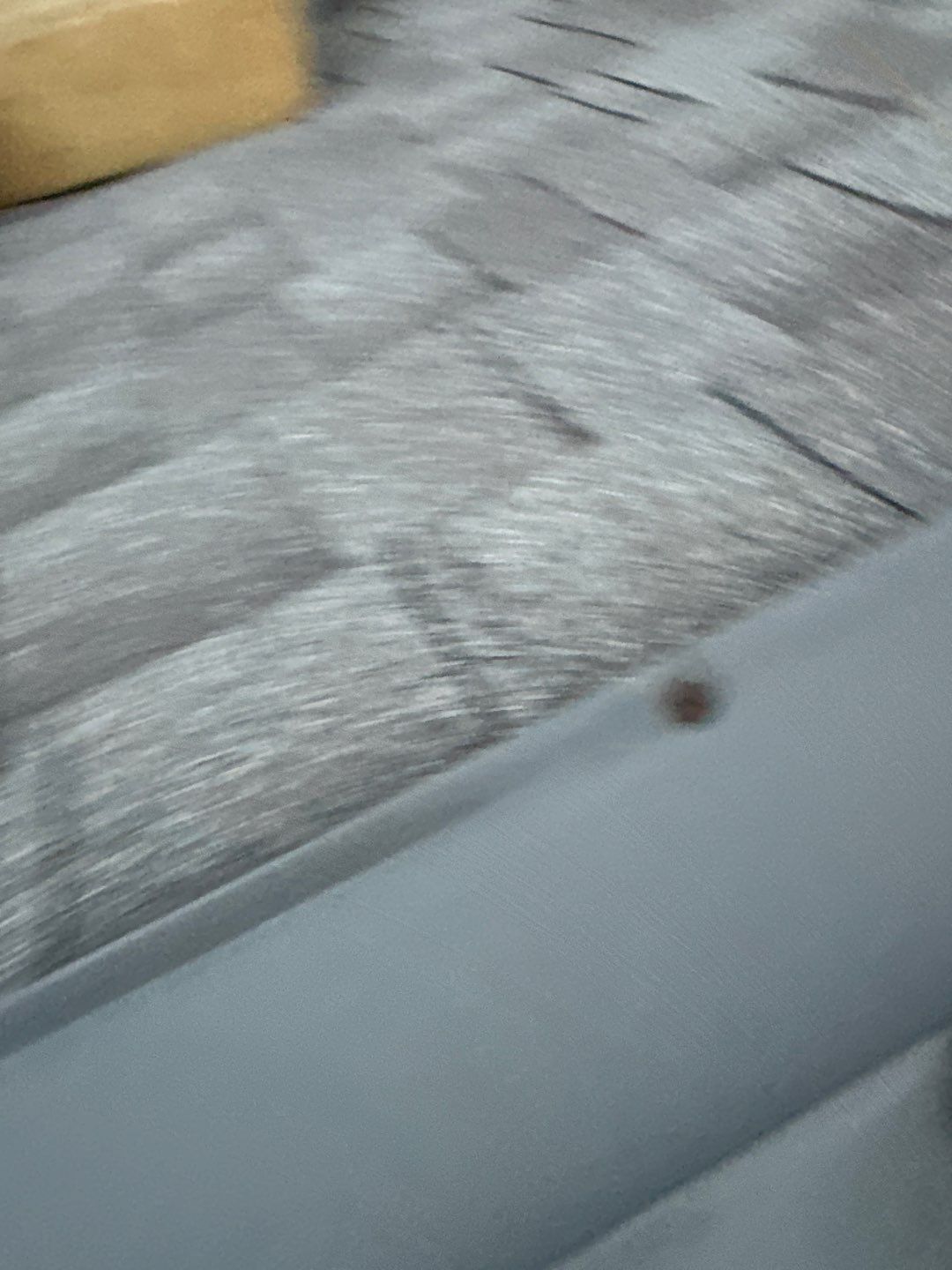 Hail Damage using Owen's Corning Duration (Lifetime) Shingles by Roof Repair Company