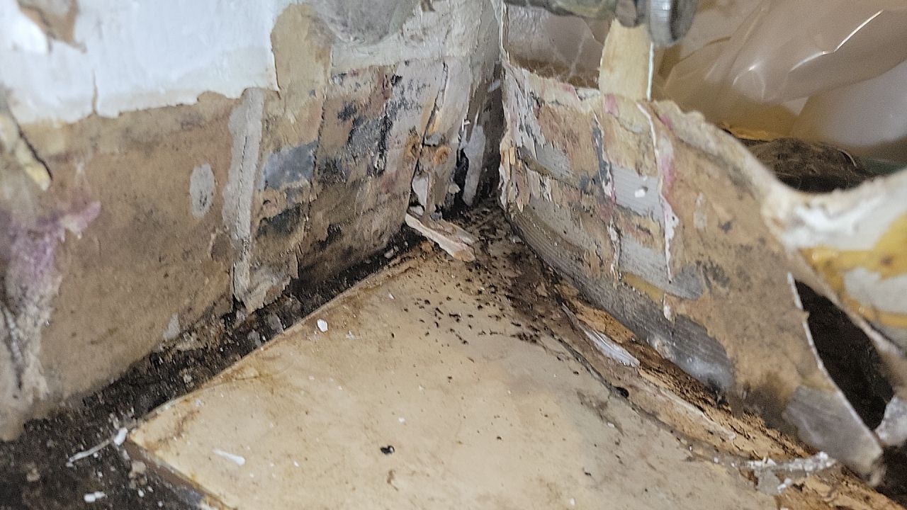 Water Damage by Accountable Home Services