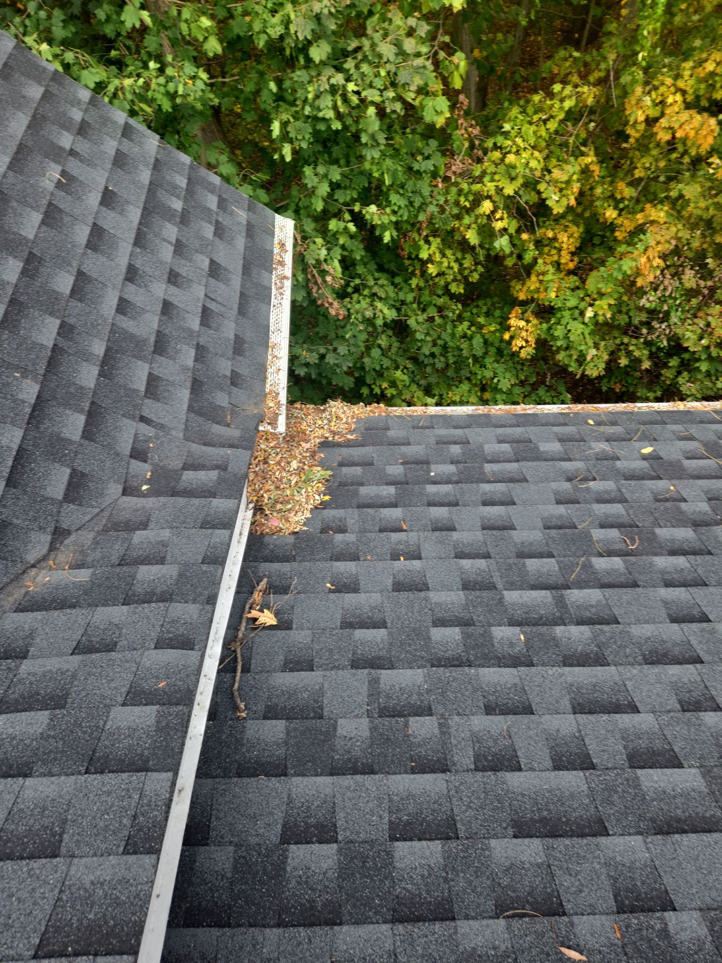 Commercial gutter cleaning New York City before photo with filled gutters