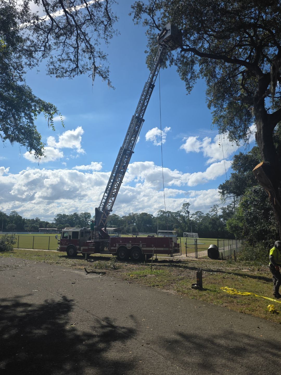 Episcopal | Large Tree Removal by ProGreen Services