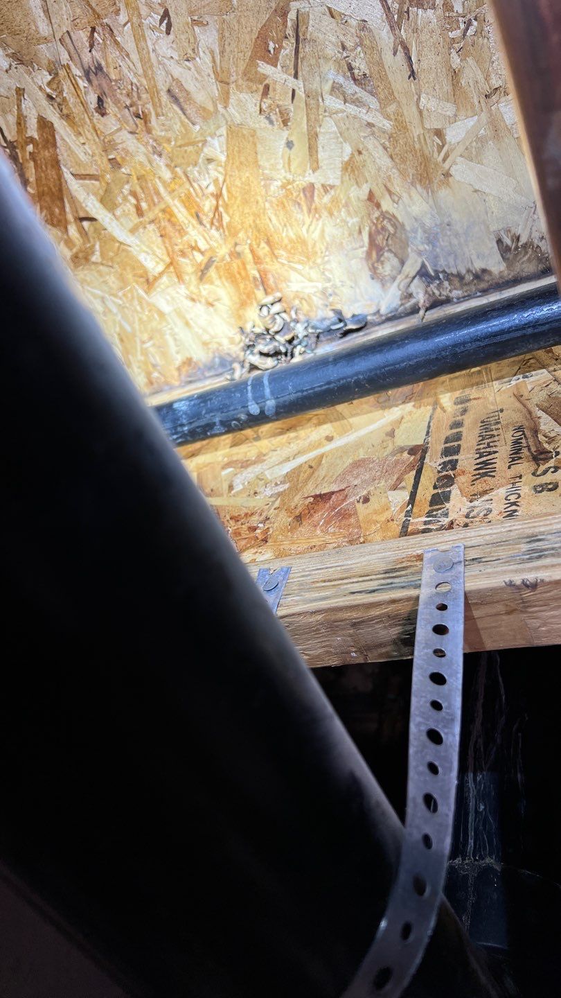 Mold Remediation by Accountable Home Services