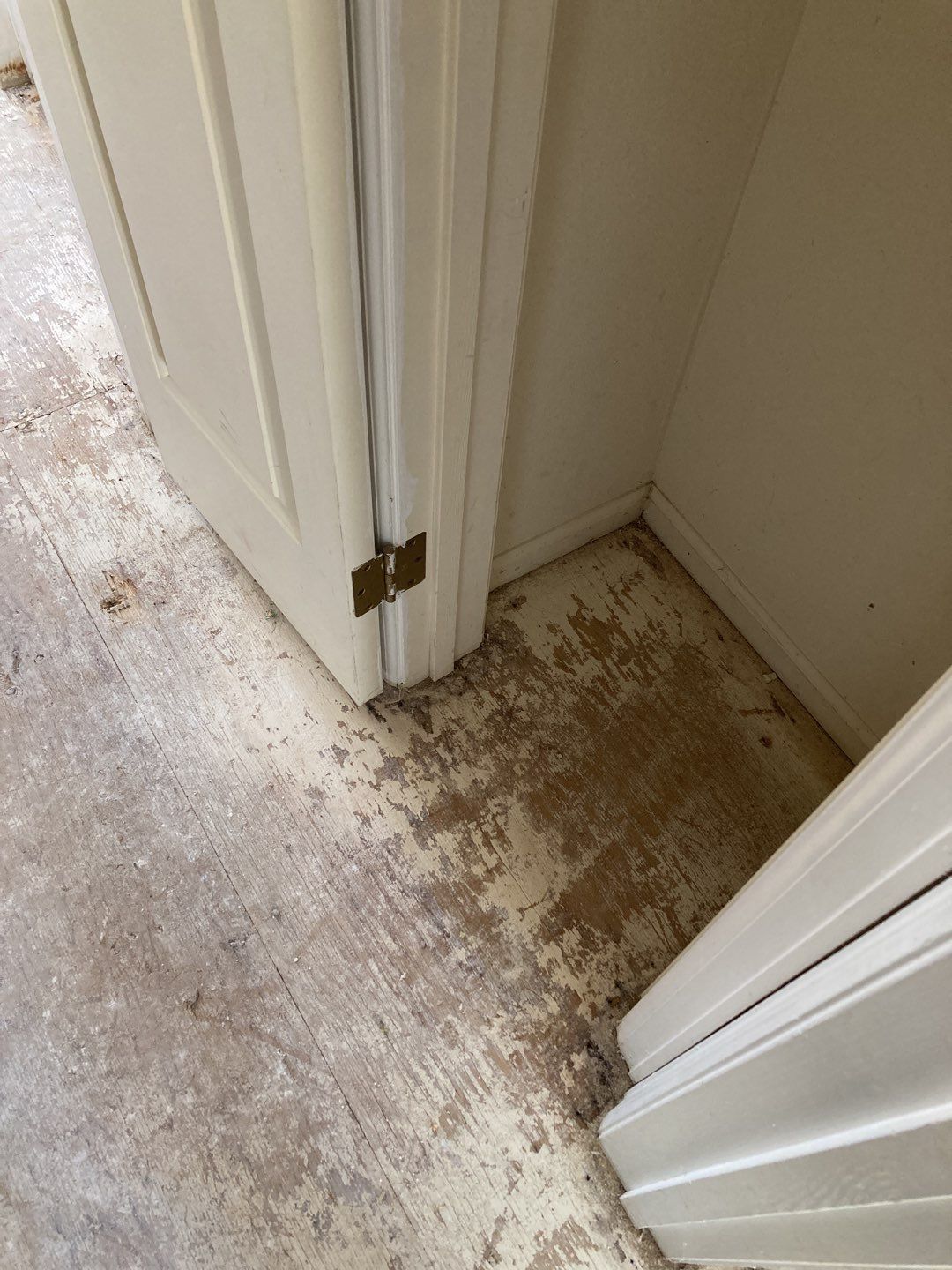 Water Damage  by Accountable Home Services