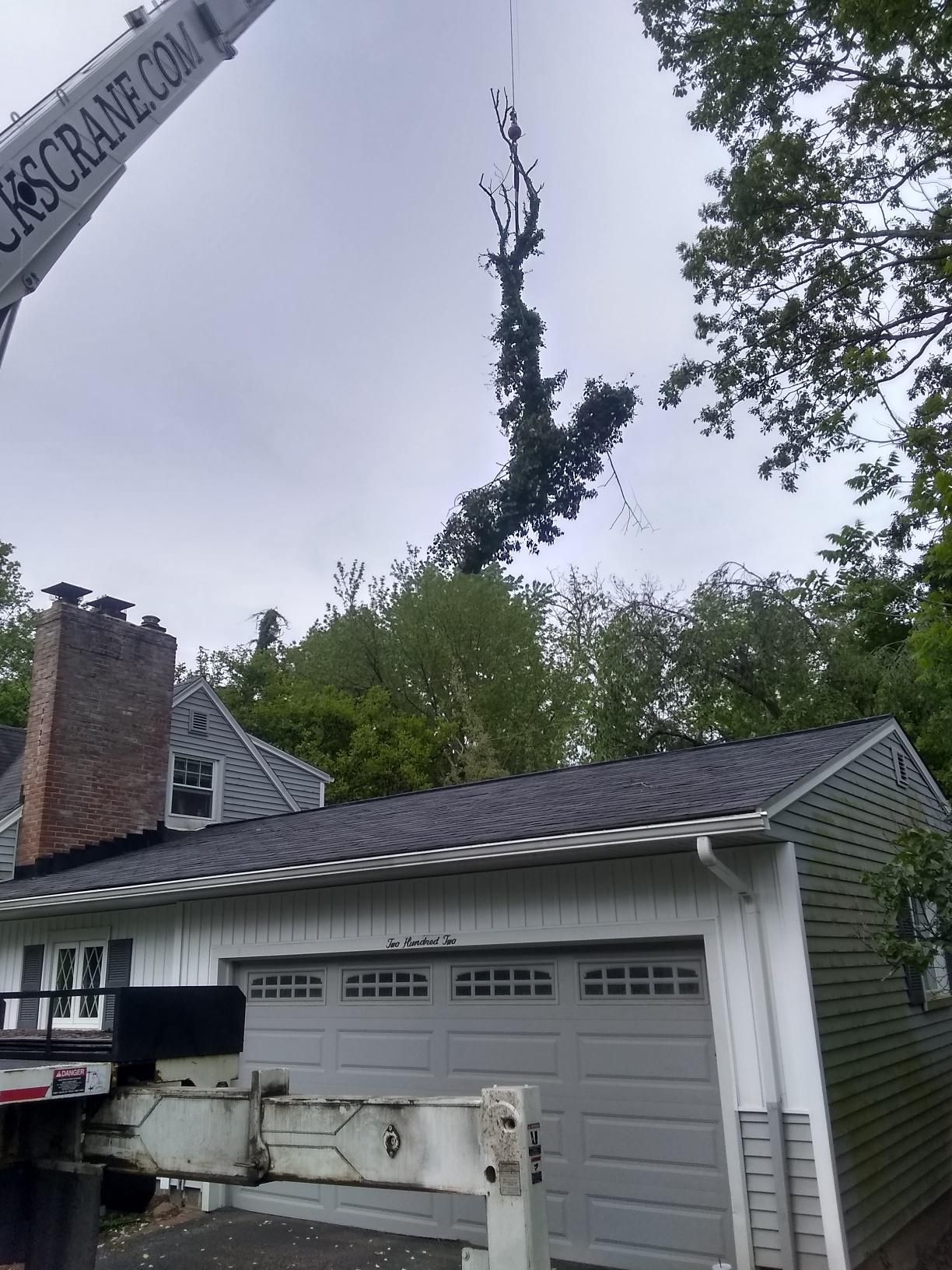 Tree Removal using Tree Removal by Mike Jones & Sons Tree Service LLC 