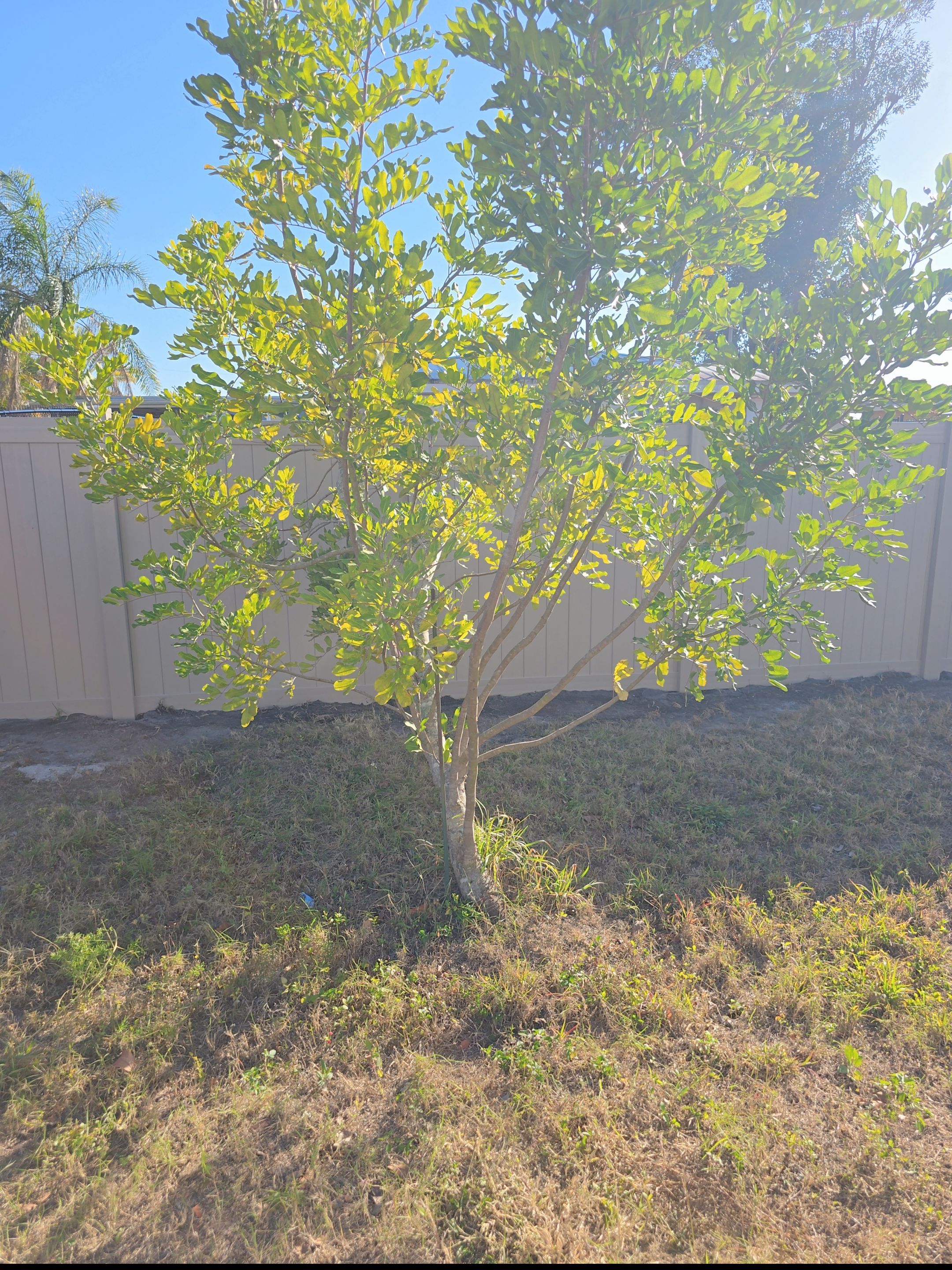 Custom Color Vinyl Fence in North Port by True Fence LLC
