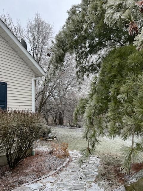 Tree Removal using Tree Removal by Mike Jones & Sons Tree Service LLC 