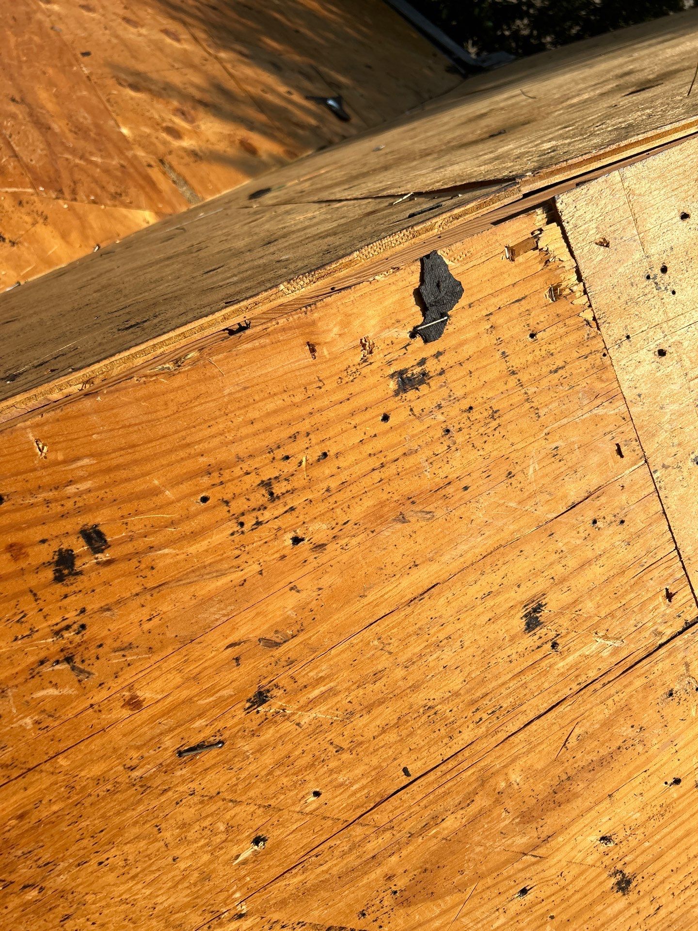Project in Austin by Rhino Roofing and General Contracting, LLC