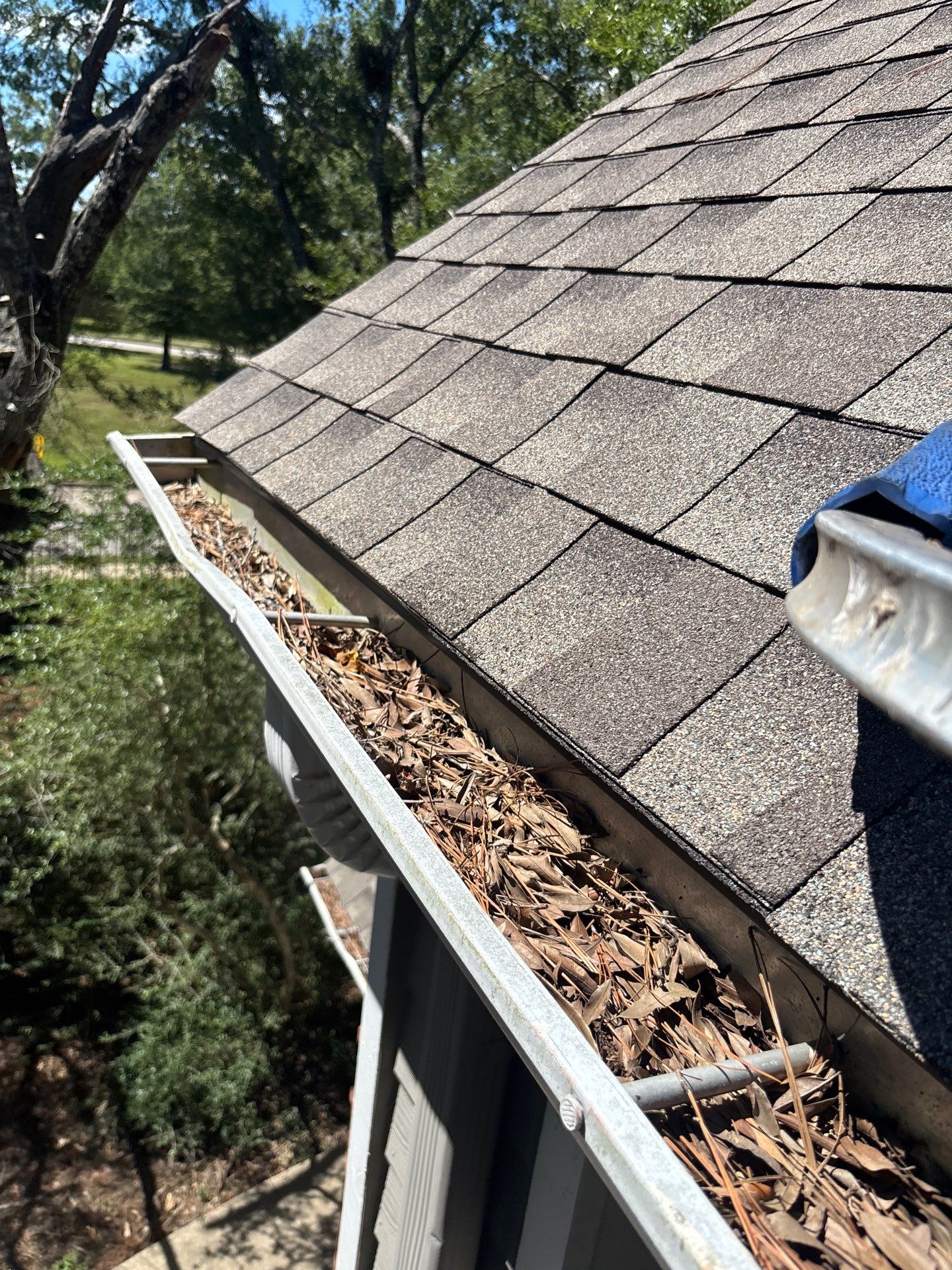 HOA gutter cleaning in Pearland, TX,before  photo showing full gutters.