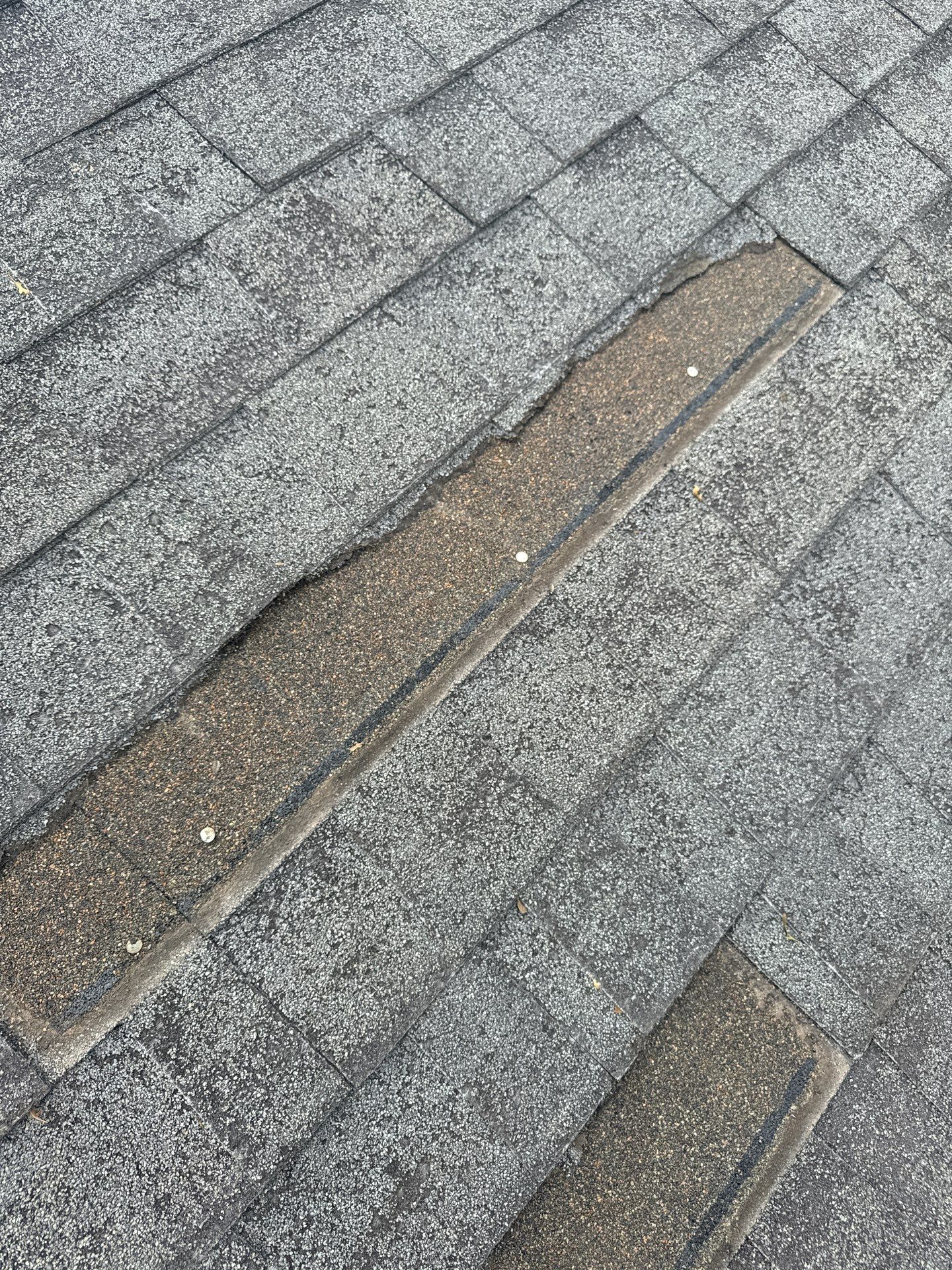 Roof, Fence, Gutters, & Exterior Paint Restoration Covered By Insurance! by Majesty Construction