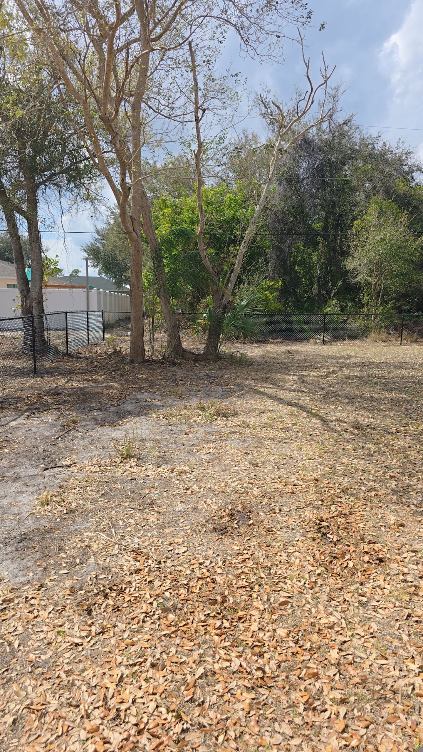 Chain Link Fence in Port Charlotte by True Fence LLC