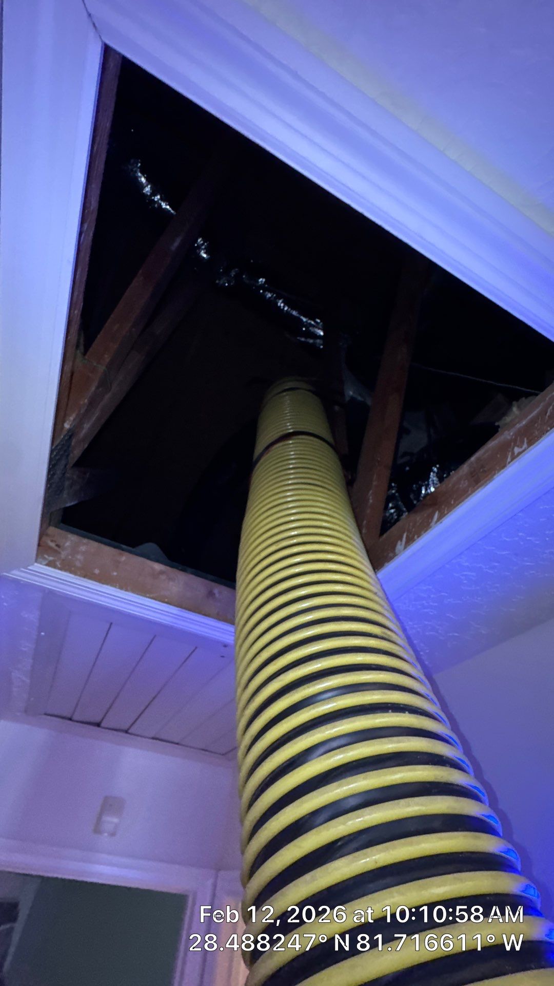 Air Duct Dryer Vent Cleaning in Clermont by Hygienic Air, Inc