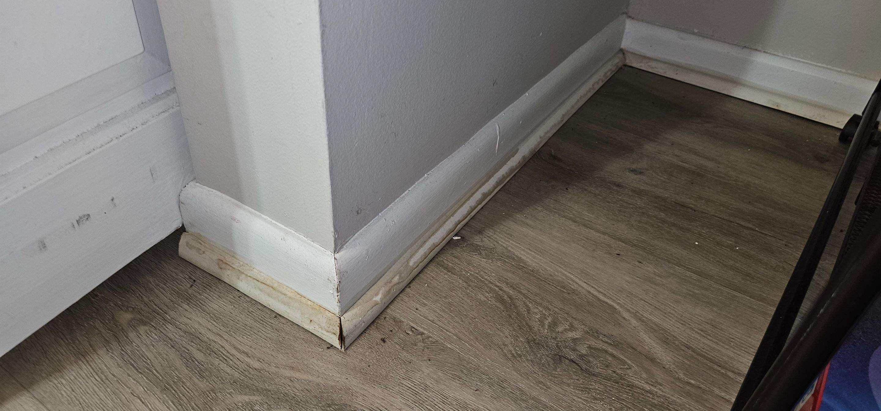 Water Damage Claim in Deerfield Beach by FLAPA & KeyStone