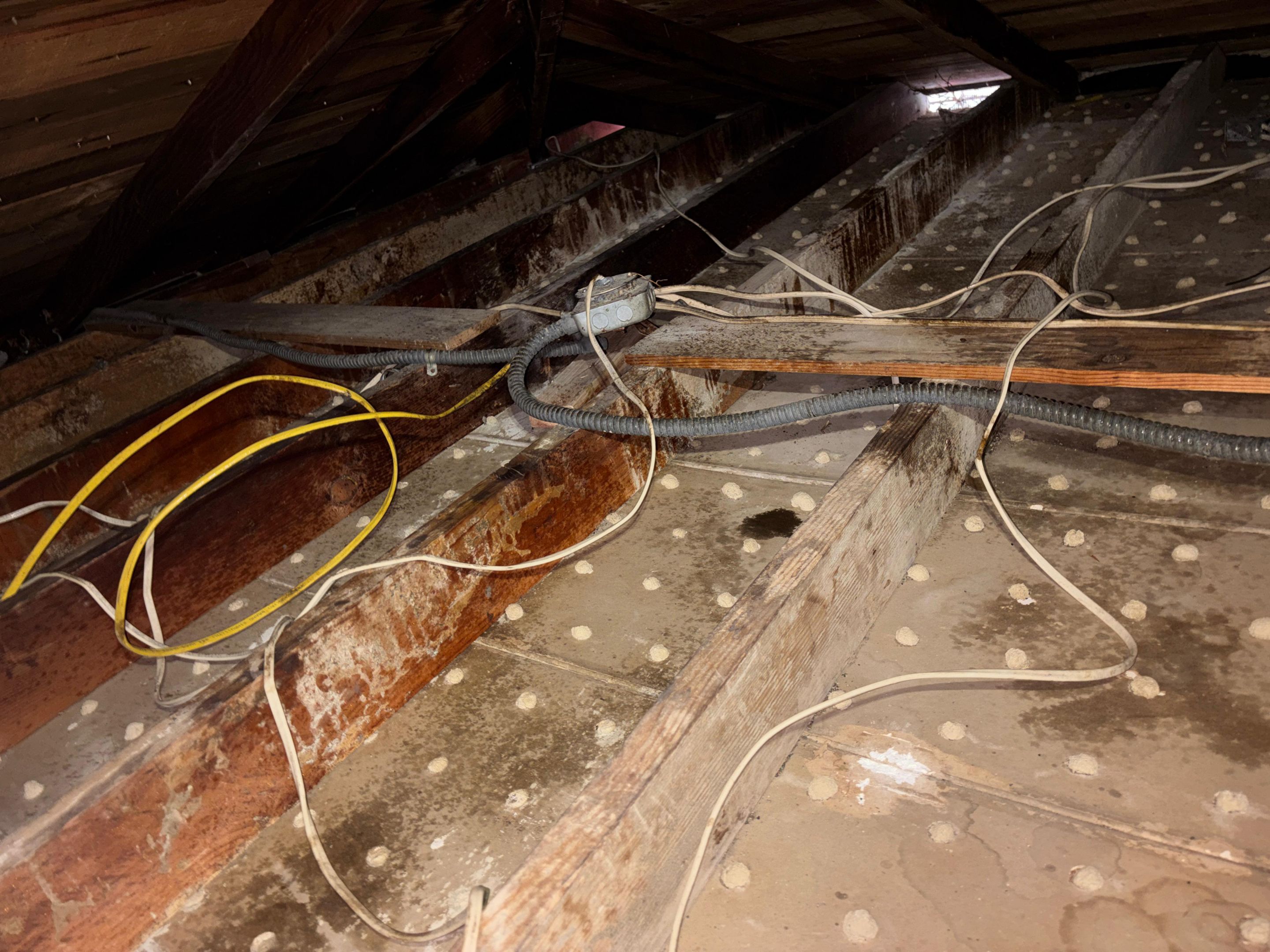 Project in Venice by Insulation Labs