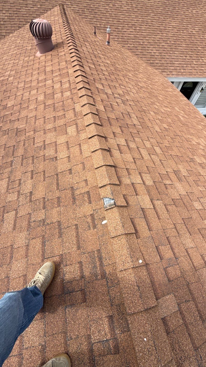 Asphalt Shingle Roof Rejuvenation and Vent Sealing in San Diego by Reliable Roofing San Diego Inc.