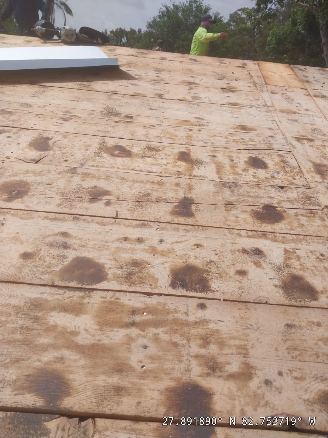 Project in Largo 33773 by Mitchell Roofing Company LLC 