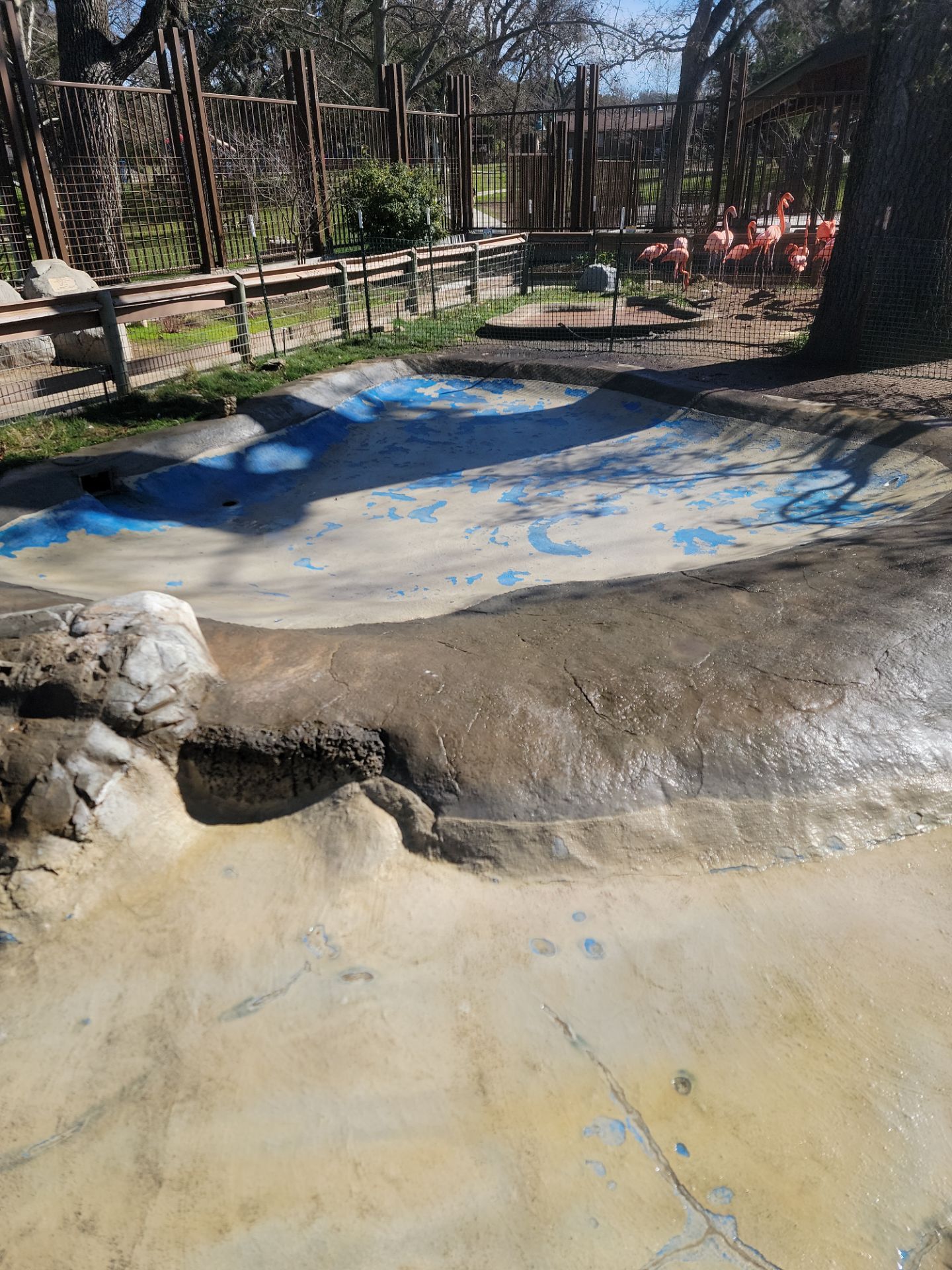 Charles Paddock Zoo Flamingo Pond by MGP Coatings