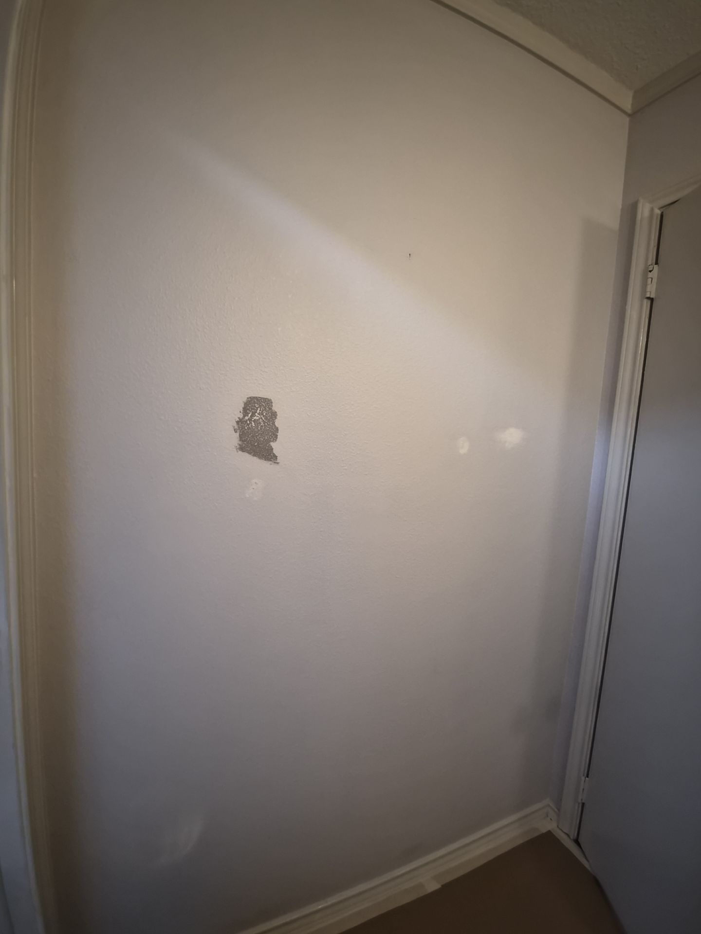Goodbye Off-White, Hello Quietude in Hideaway TX by Quality Coats Painting