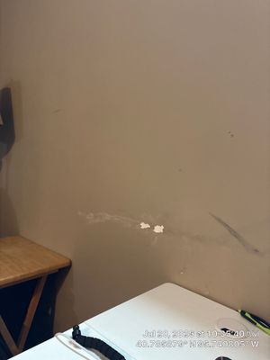 Interior Wall Surface Repair and Paint Touch-Ups in Lincoln