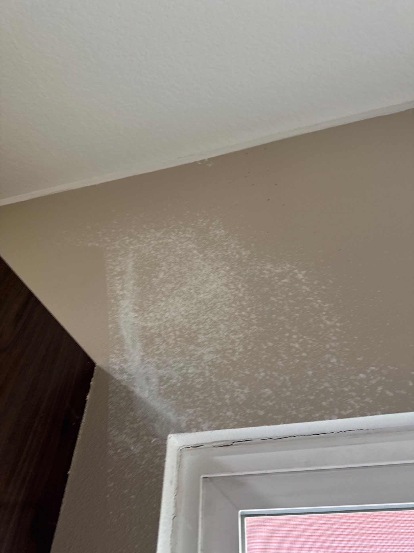 Project in Des Moines by Midwest Paint LLC