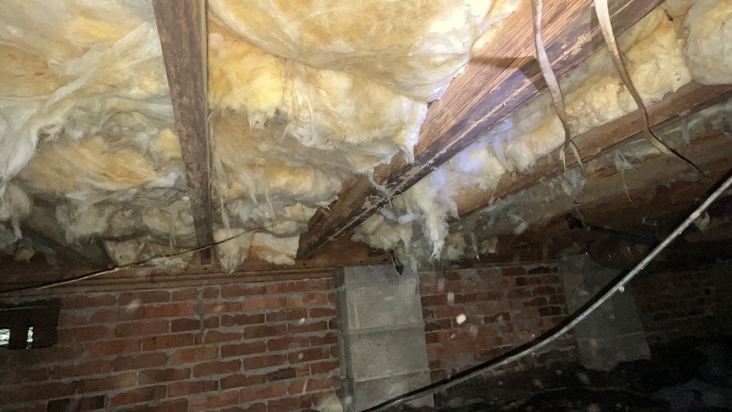 Impact Choice Encapsulation using YCS Pro Cleaner by Impact Crawlspace