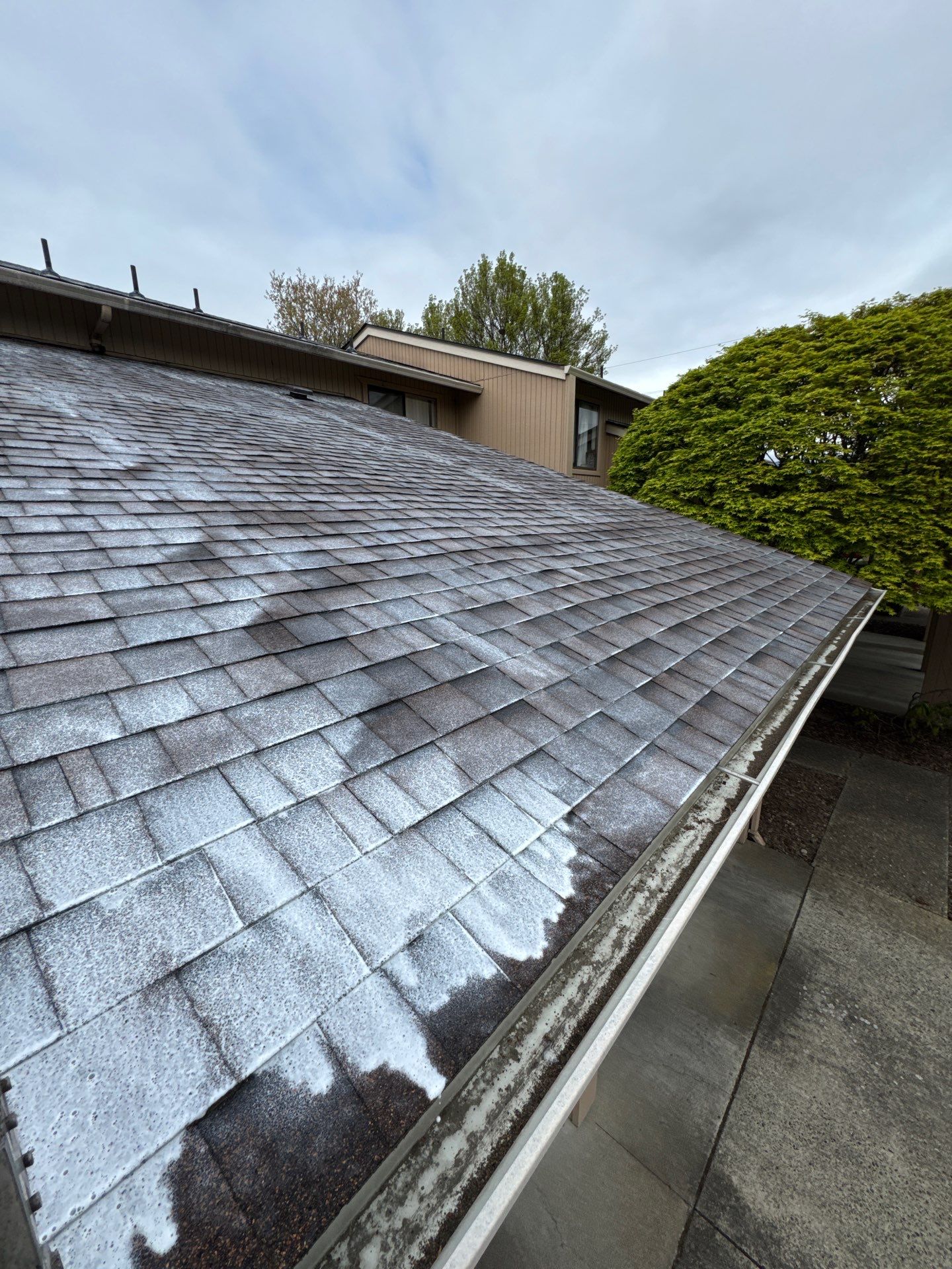 Project in Grants Pass by Roof Maxx of Grants Pass