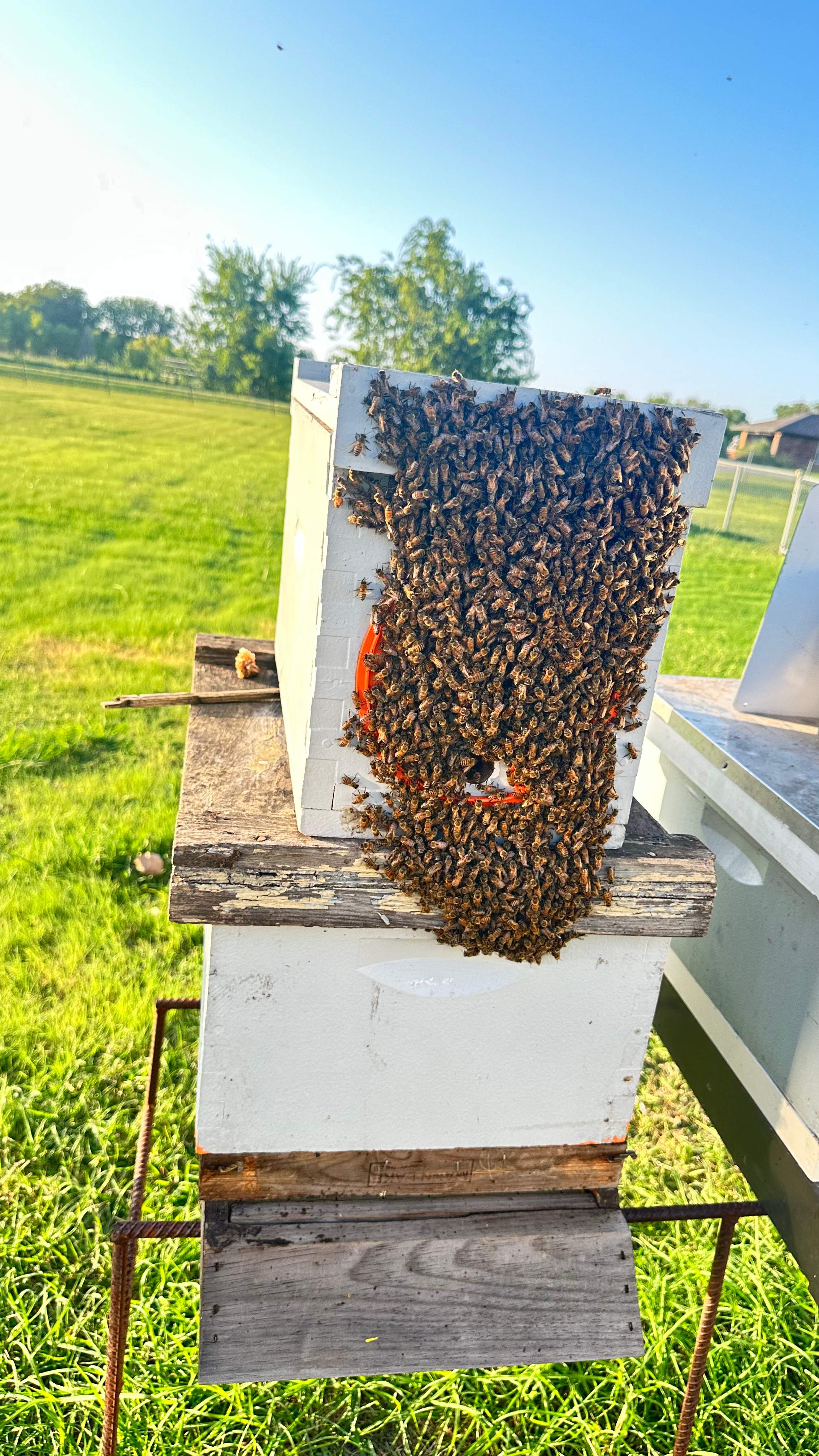 Golf Couse by Rockwall Honey Bee Company
