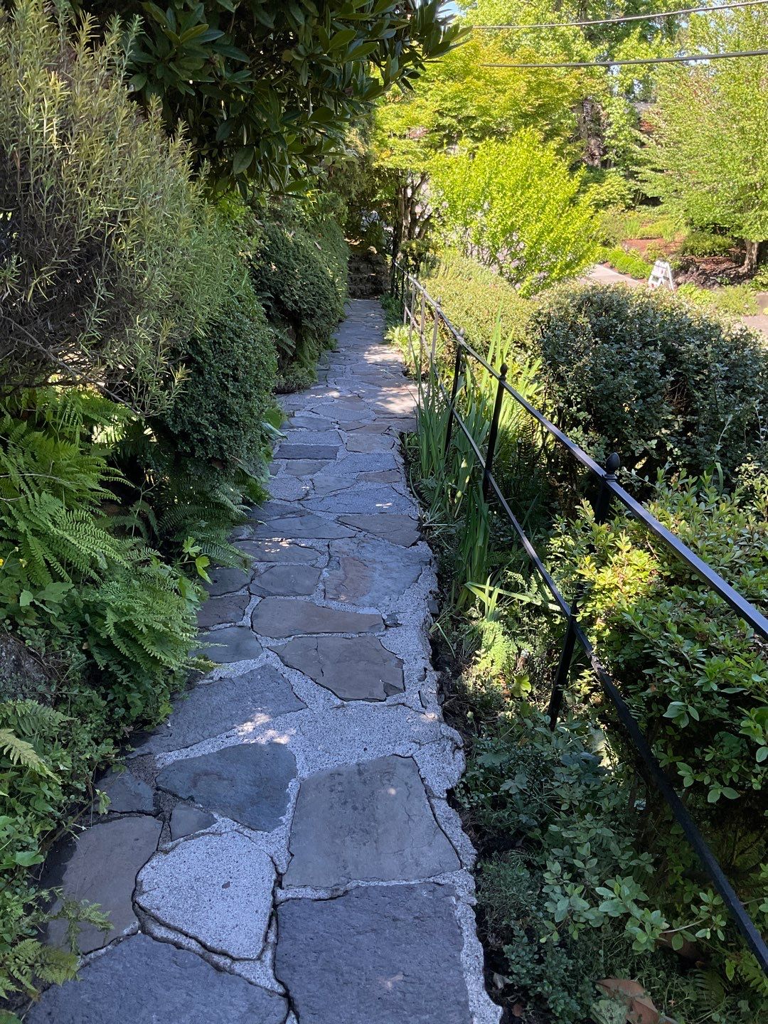 Flat work using Pressure washing no chemicals by Willamette Outdoor Wash LLC