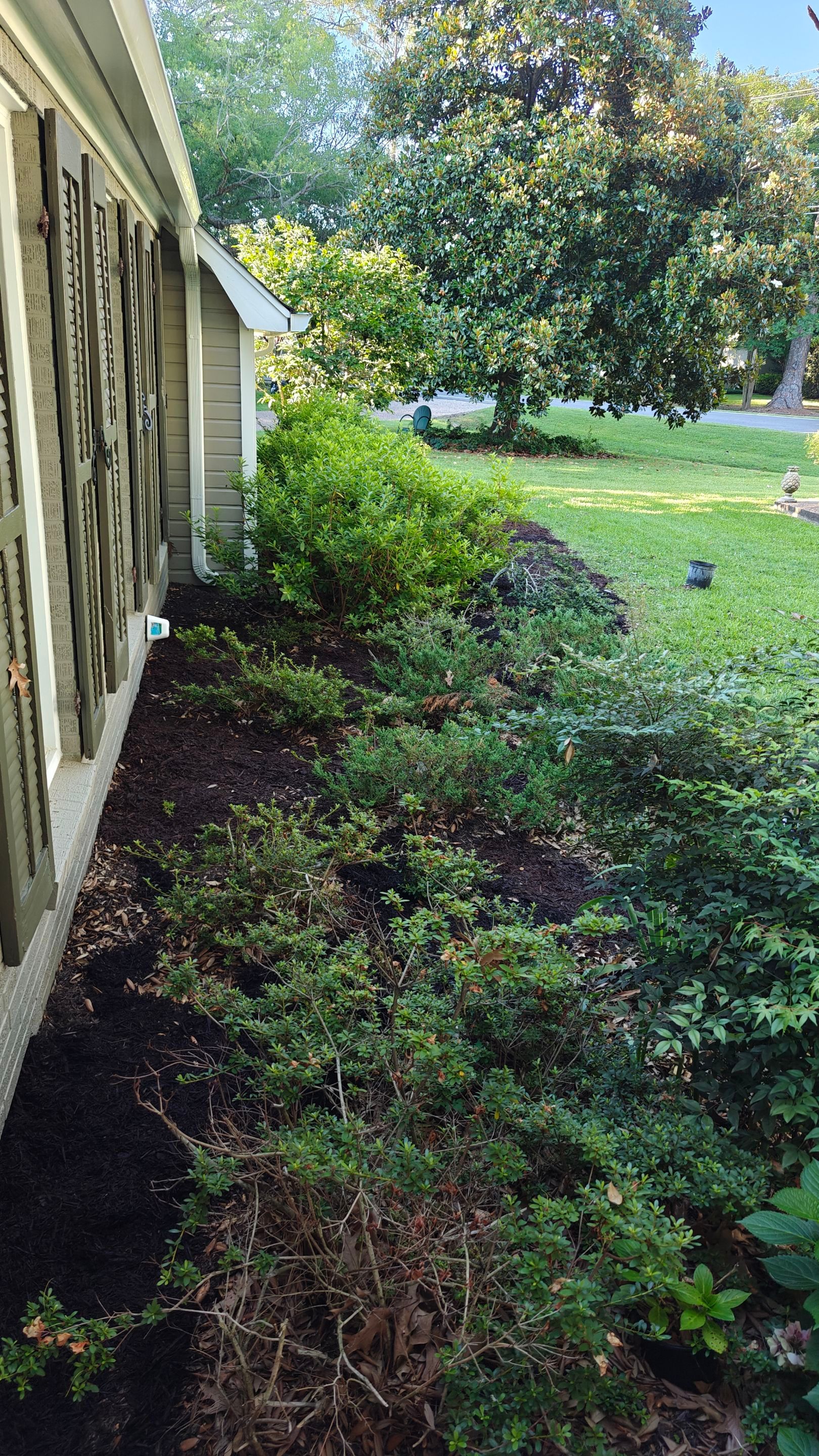 Mrs. Babs  by College Bros Outdoor services