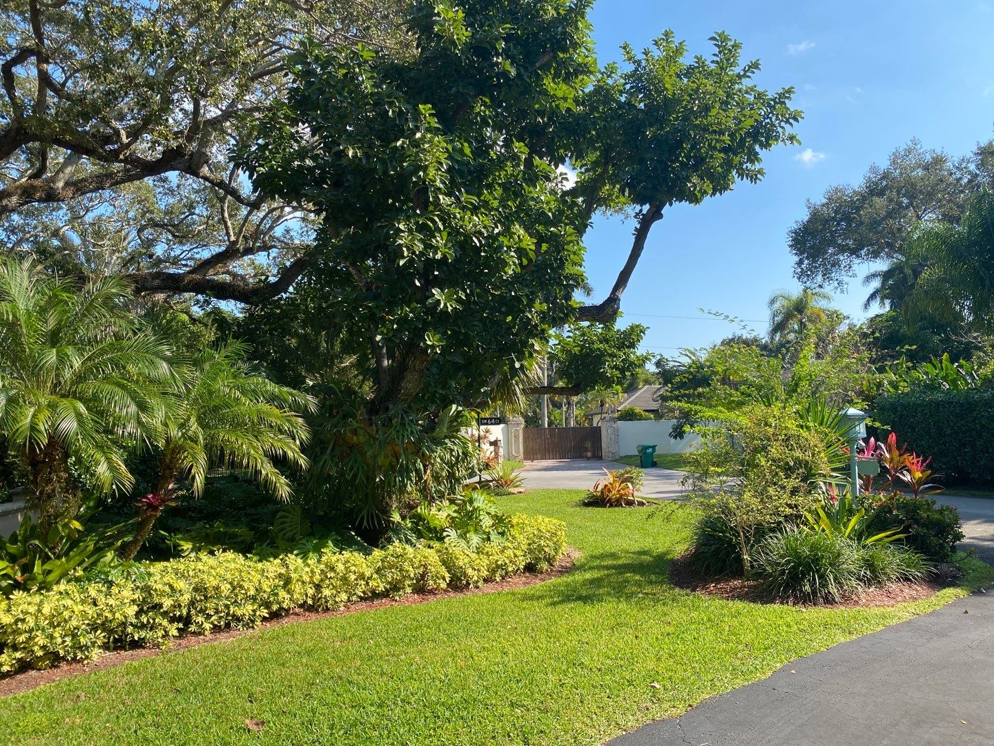 Tropical Residential Landscape in Pinecrest by Nature's Dream Landscape and Tree Service
