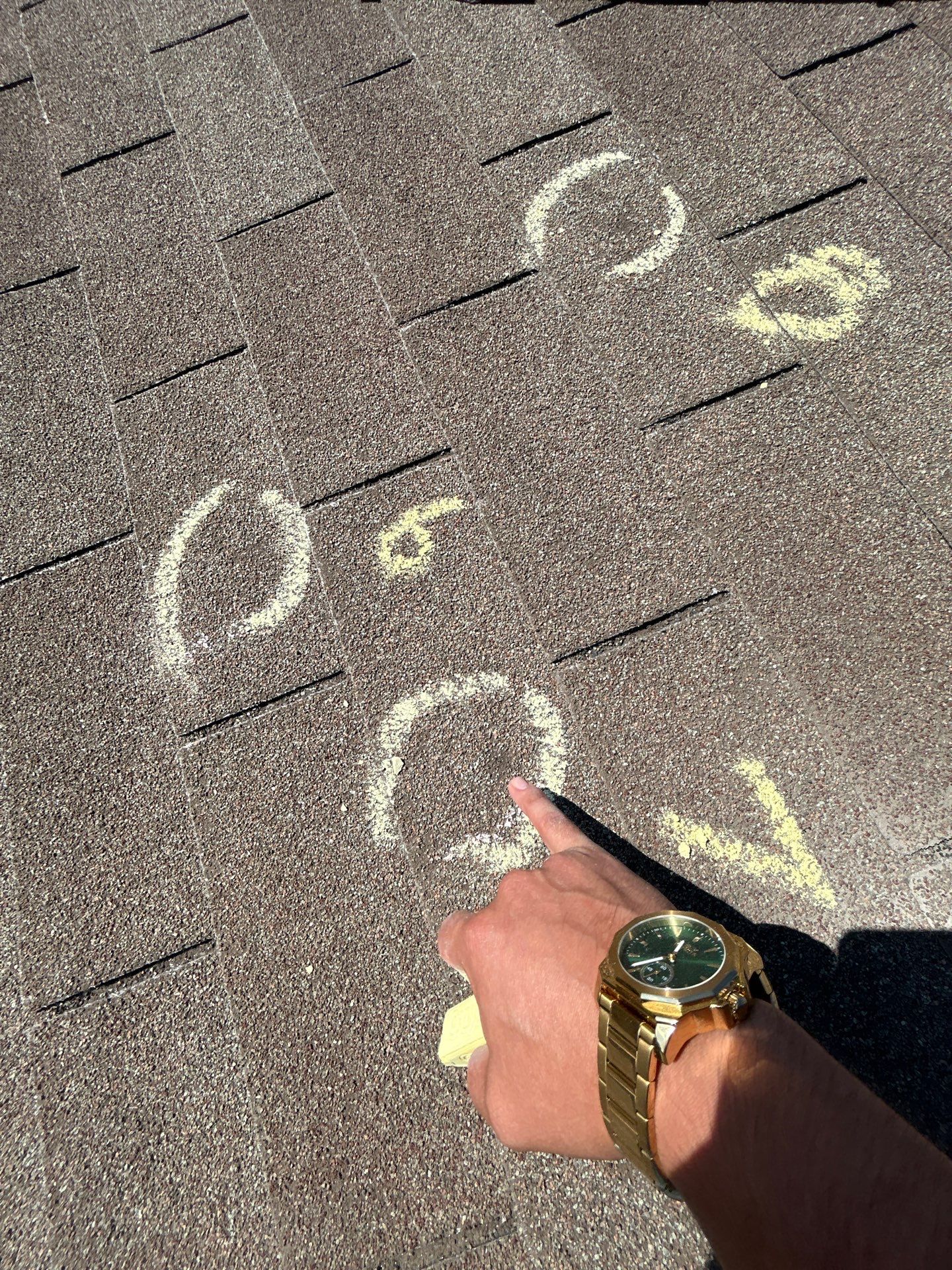 Miss Bridgette by REPS Austin Area Roofer