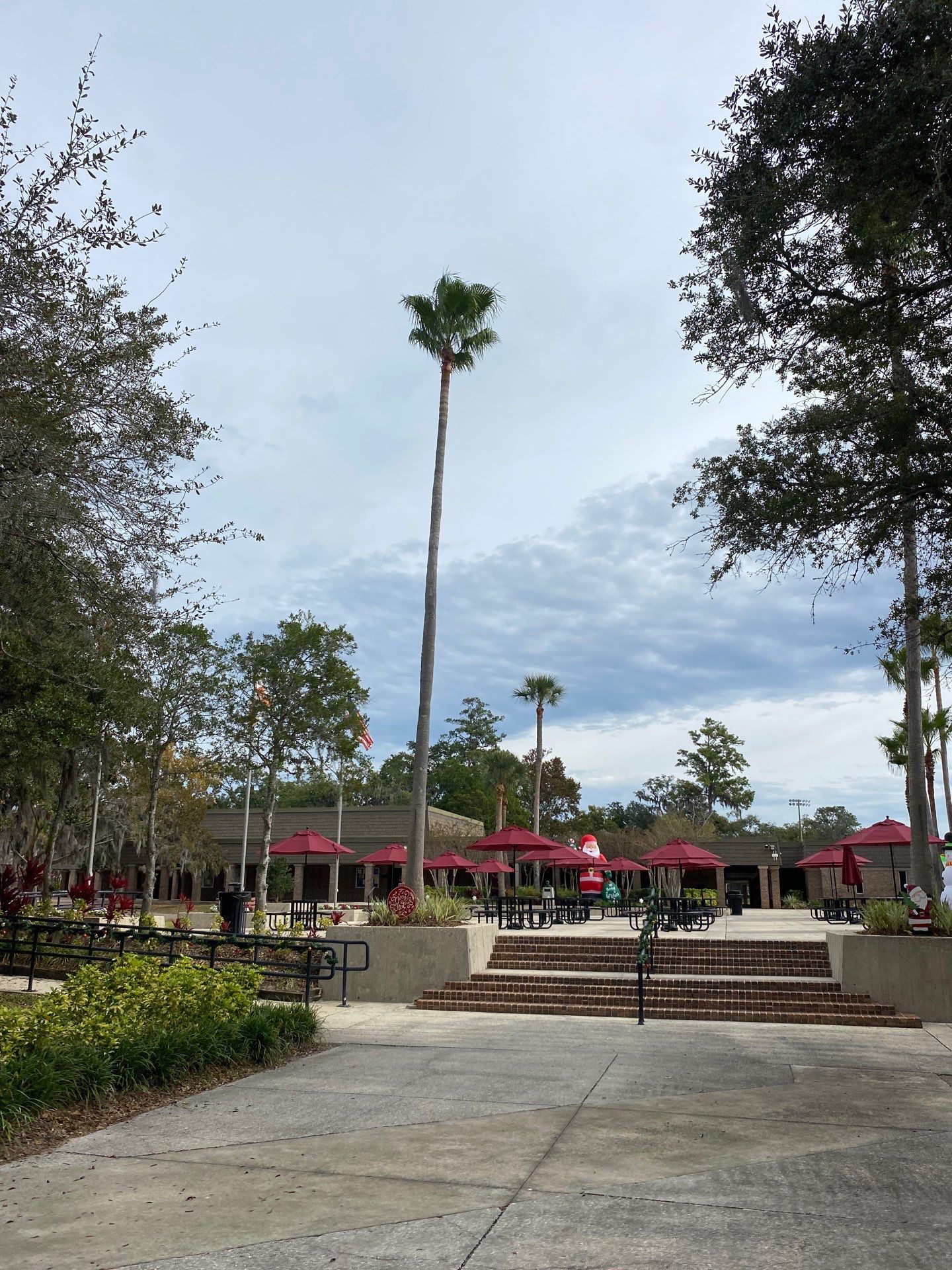 Volunteer Work | Episcopal High School of Jacksonville by ProGreen Services