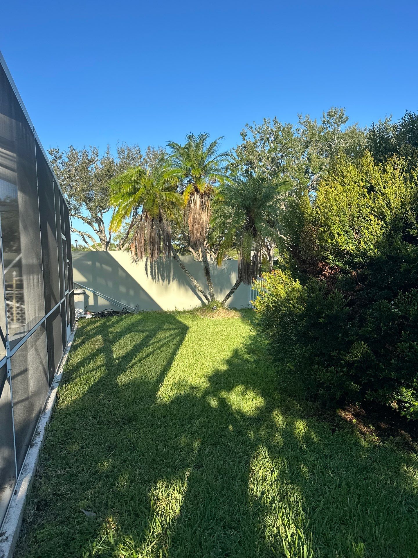 🌱 Evergreen Residential Cleanup — Palm City by Alpha Zeta Enterprises Inc