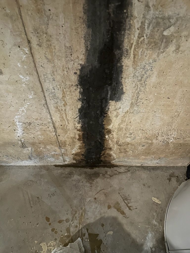 Mold Remediation Using Containments Throughout Home by ANR Restoration