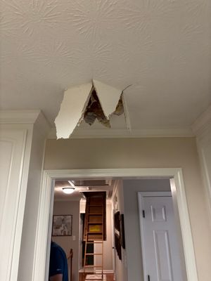 Ceiling Drywall Repair