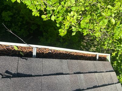 Turtle Shell gutter protection installation in Naperville, IL 60565, photograph 11