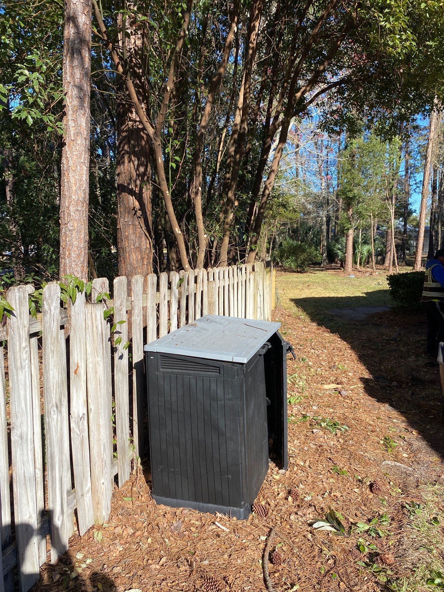 Deerwood Resident | Tree Removal & Clean-Up by ProGreen Services
