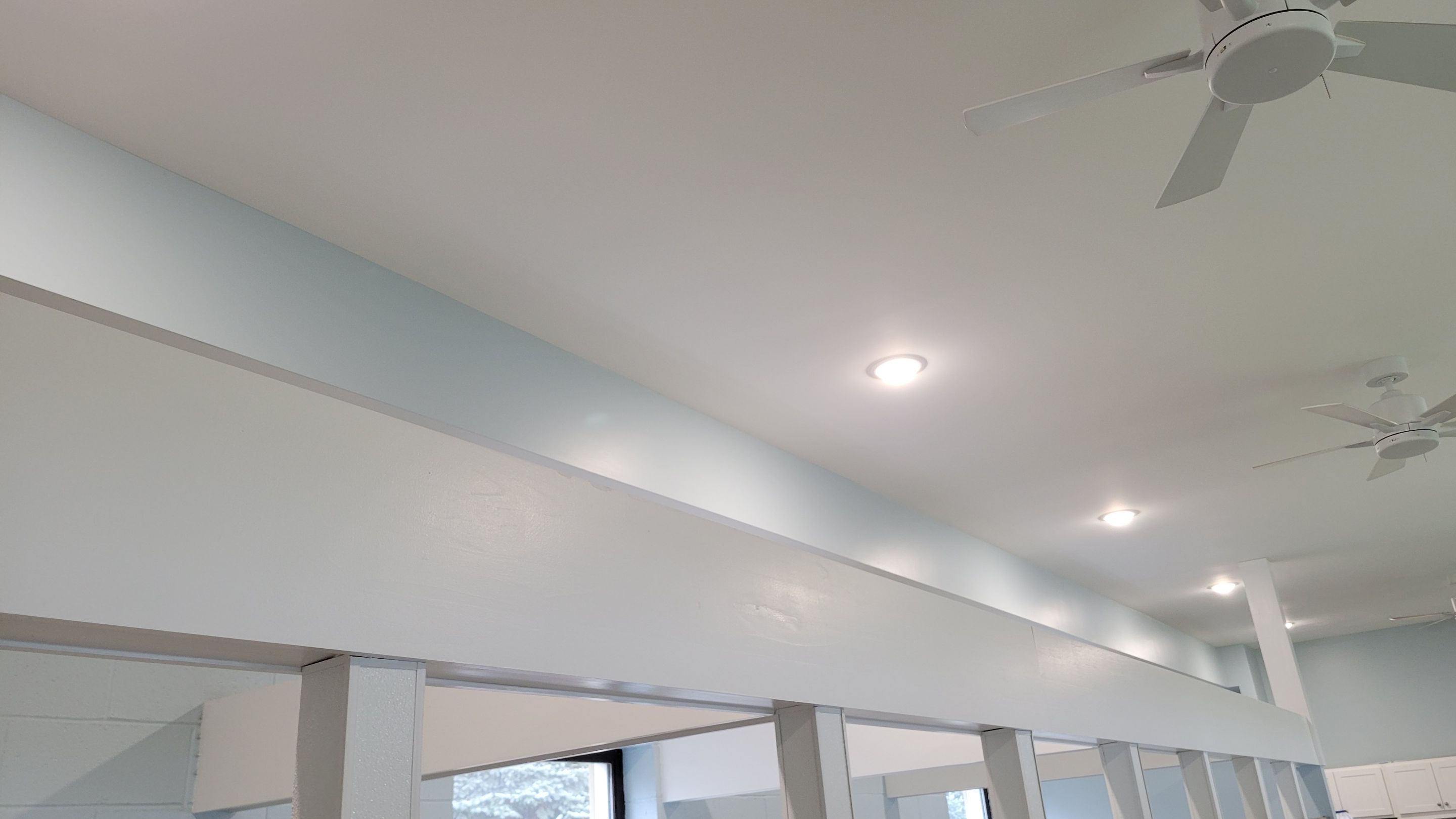 Kennel Floor Coating and Wall Painting using Penntek by Spectrum Painting, LLC
