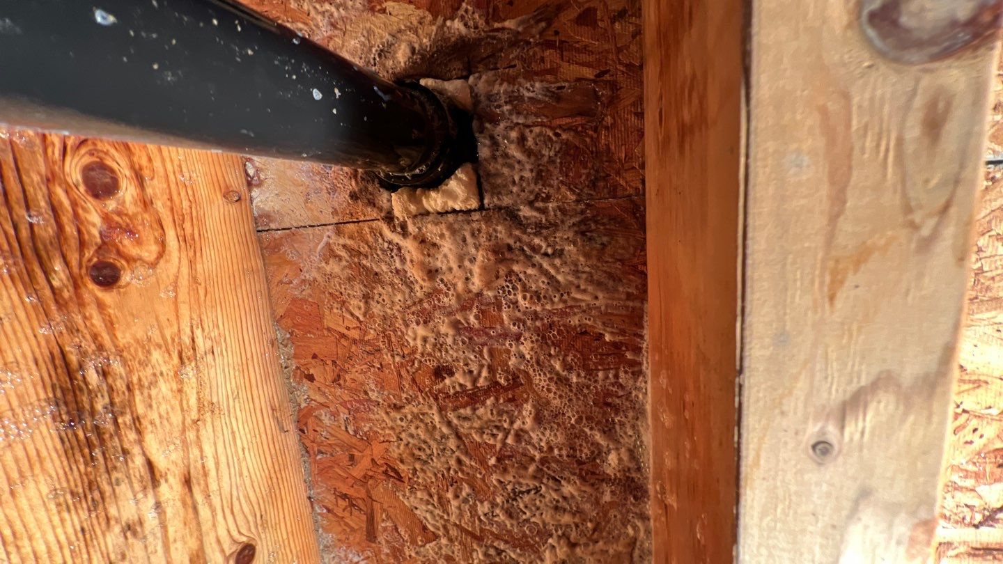 Mold Damage by Accountable Home Services